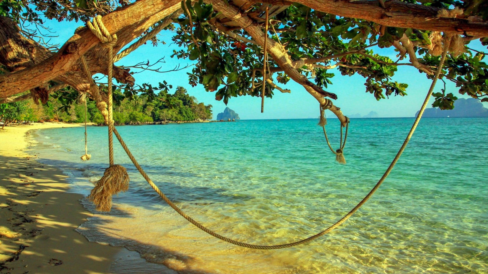 1920x1080 HD Summer, rope swing, tree, Full HD Desktop Wallpaper