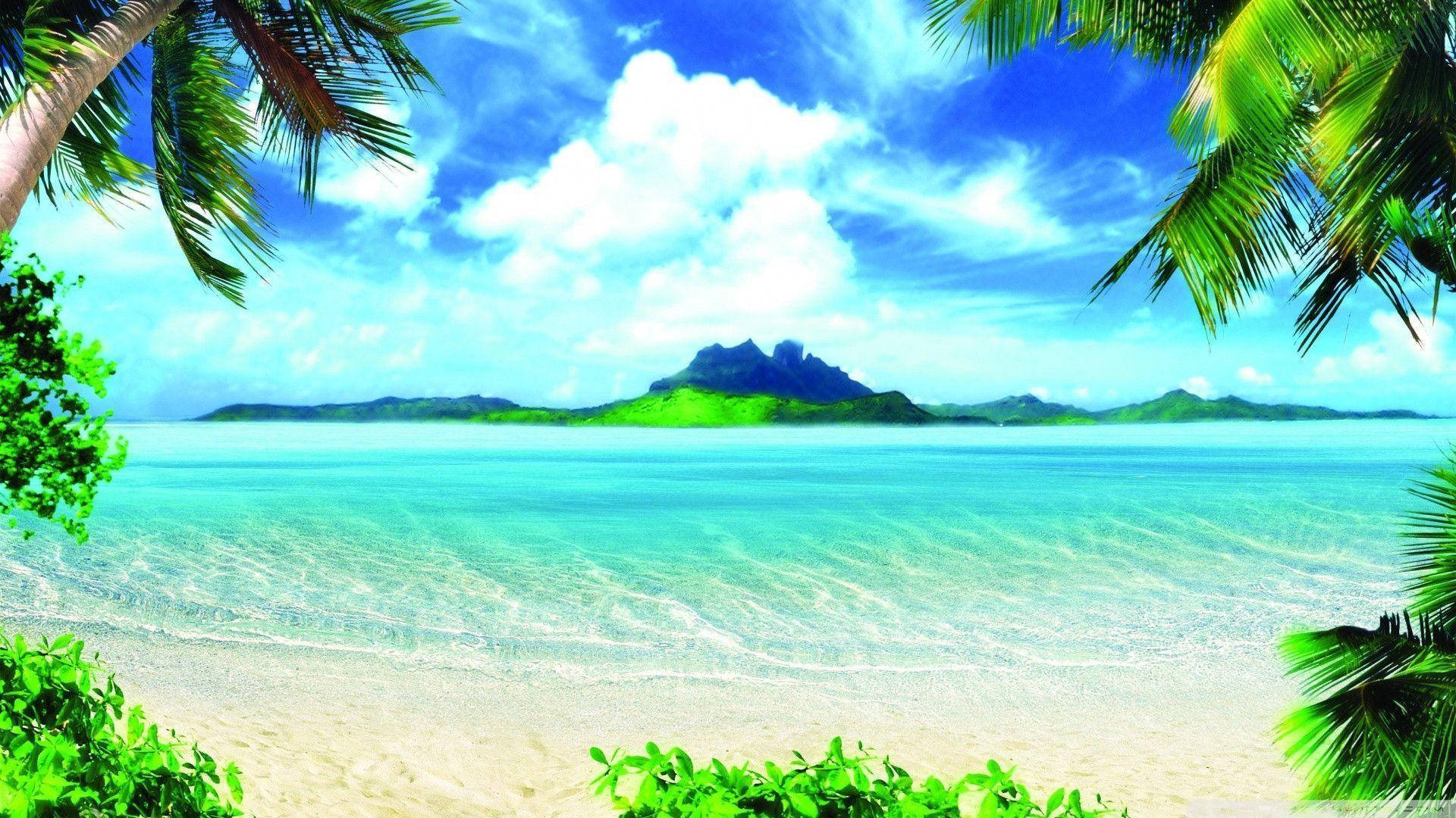 1920x1080 HD Summer, tropical beach, palm fronds, Full HD Desktop Wallpaper