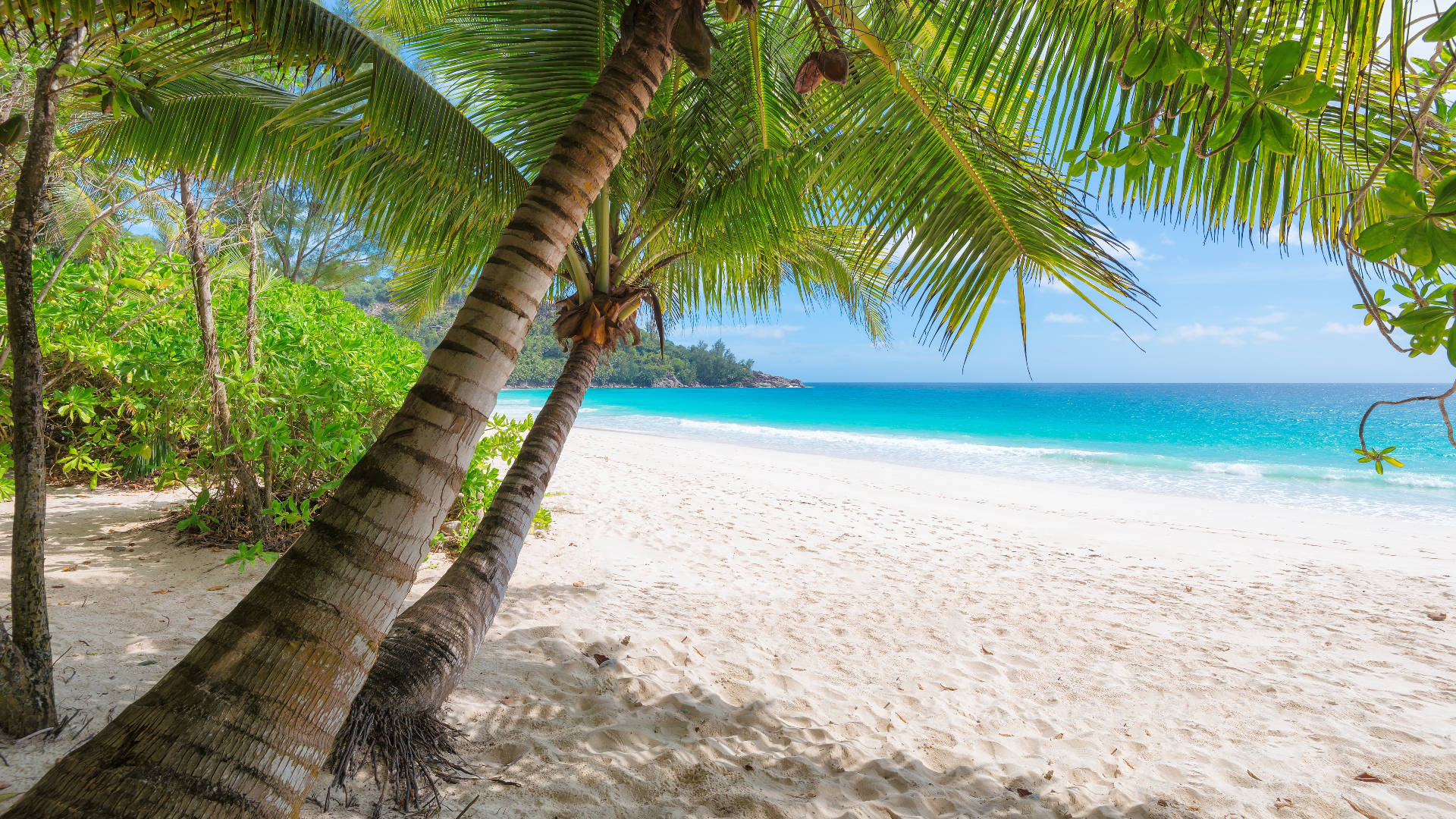 1920x1080 HD Summer, tropical beach, white sand, Full HD Desktop Wallpaper