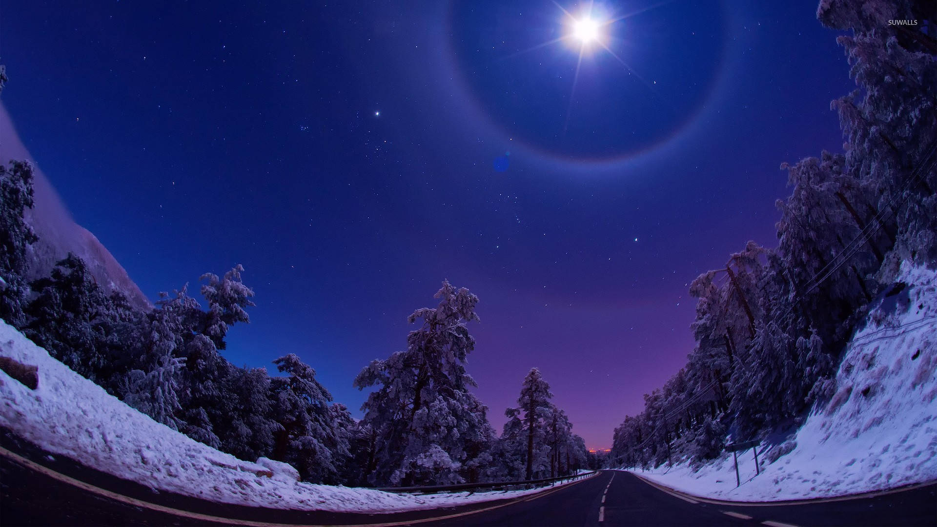 1920x1080 HD Winter Desktop, snowy forest road, bright moon, Full HD Desktop Wallpaper