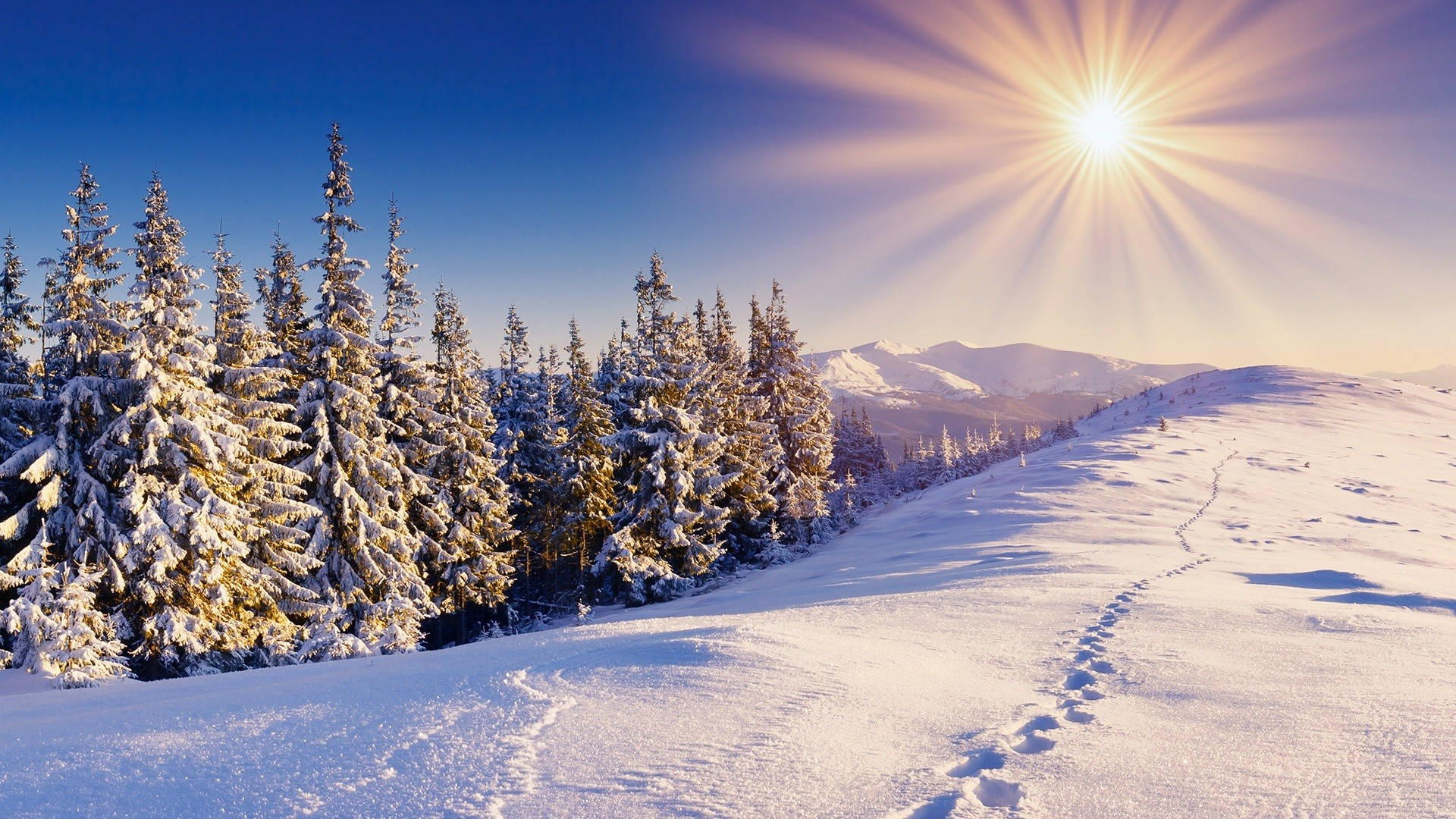 golden sunrise, snowy mountain trail, snow-laden evergreen trees, Full HD Desktop Wallpaper