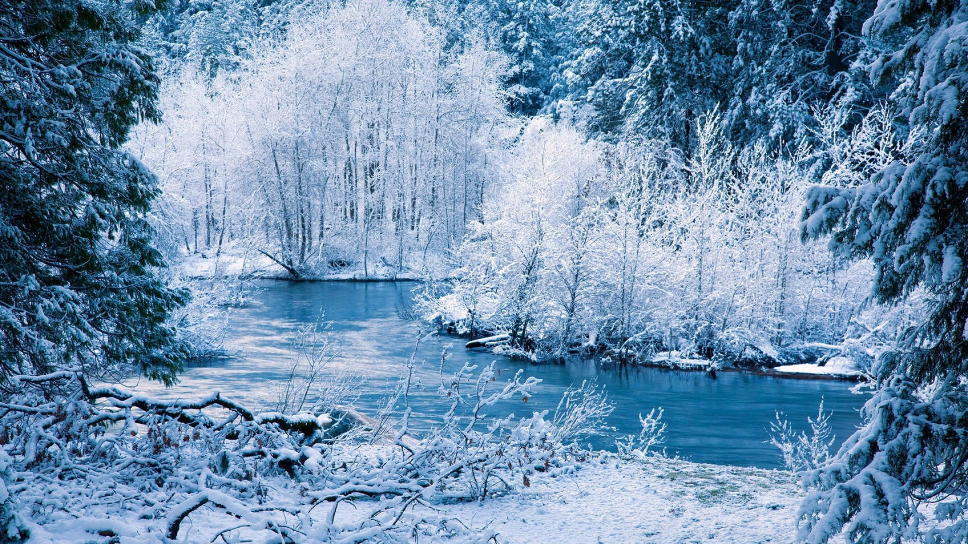 1920x1080, winter desktop, snow-covered forest, Full HD Desktop Wallpaper