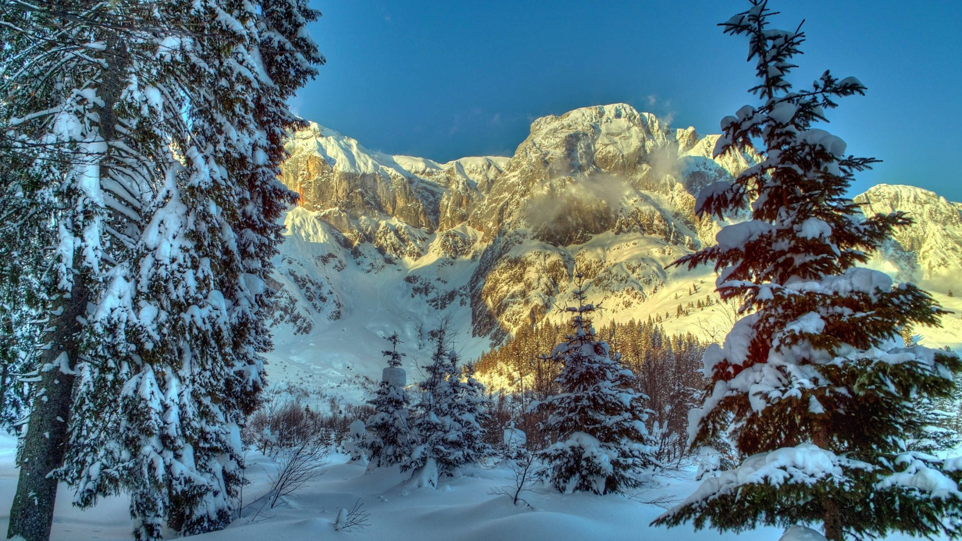 1920x1080, winter desktop display, snow-covered pine trees, Full HD Desktop Wallpaper