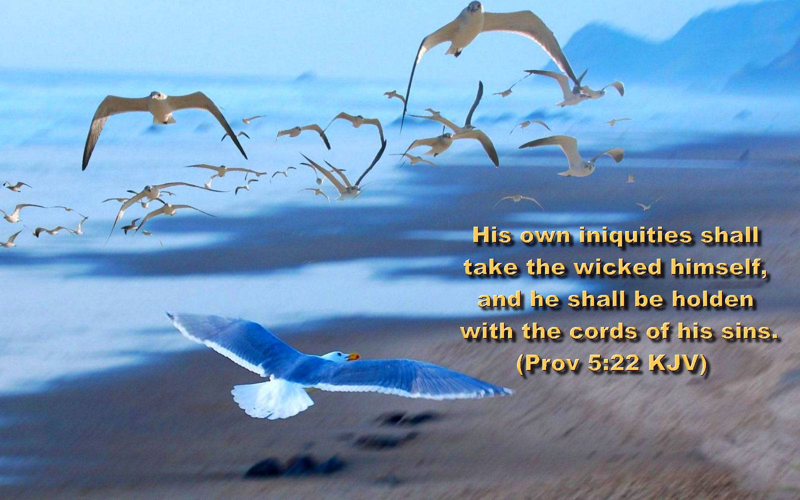 1920x1080, Biblical Proverbs 5:22 KJV, golden text, HD Desktop Wallpaper