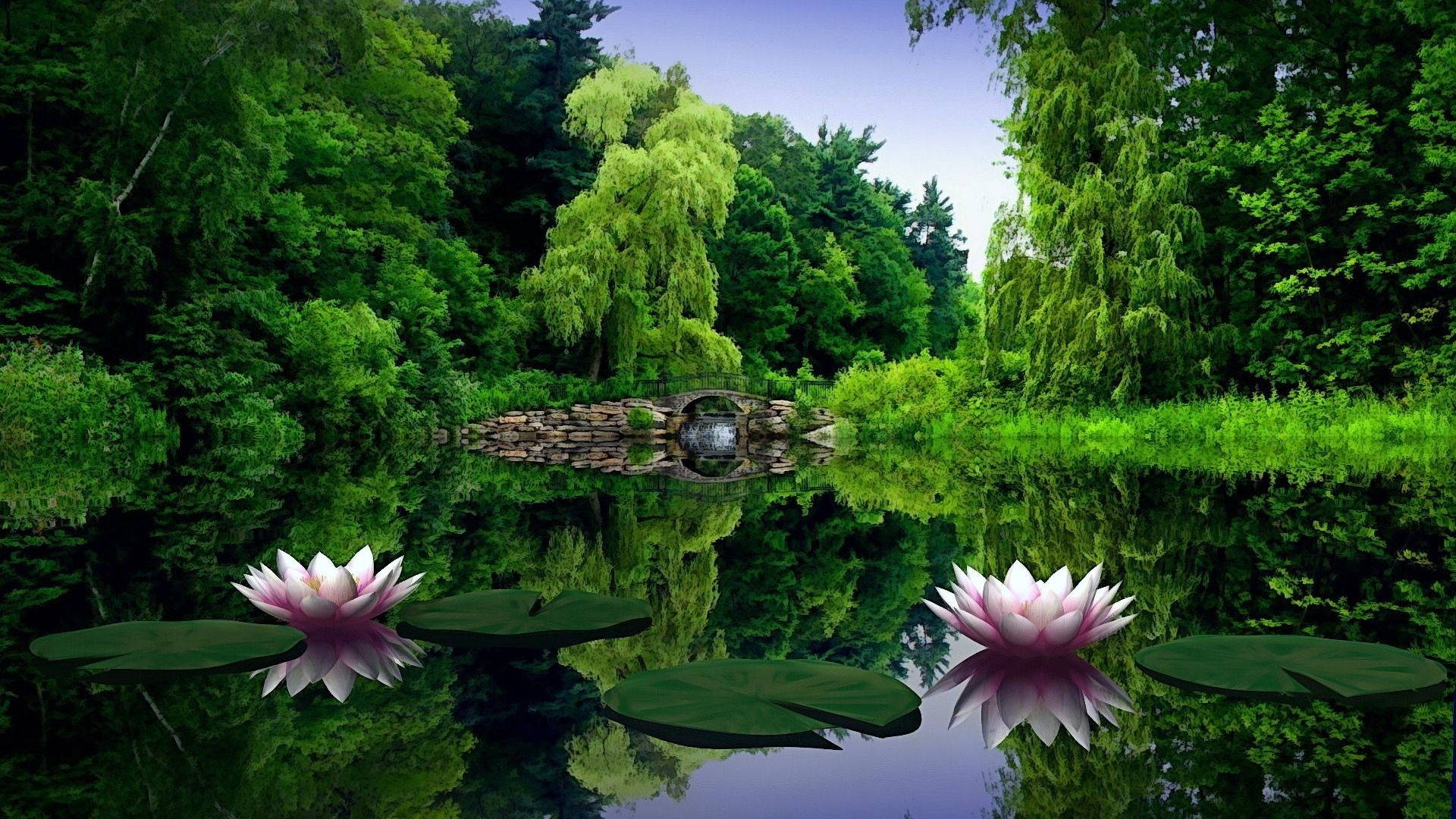 1920x1080, Full HD, nature, Full HD Desktop Wallpaper