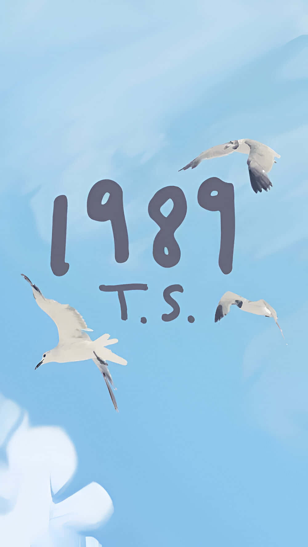 1989 T S, seagulls, sky, HD Phone Wallpaper