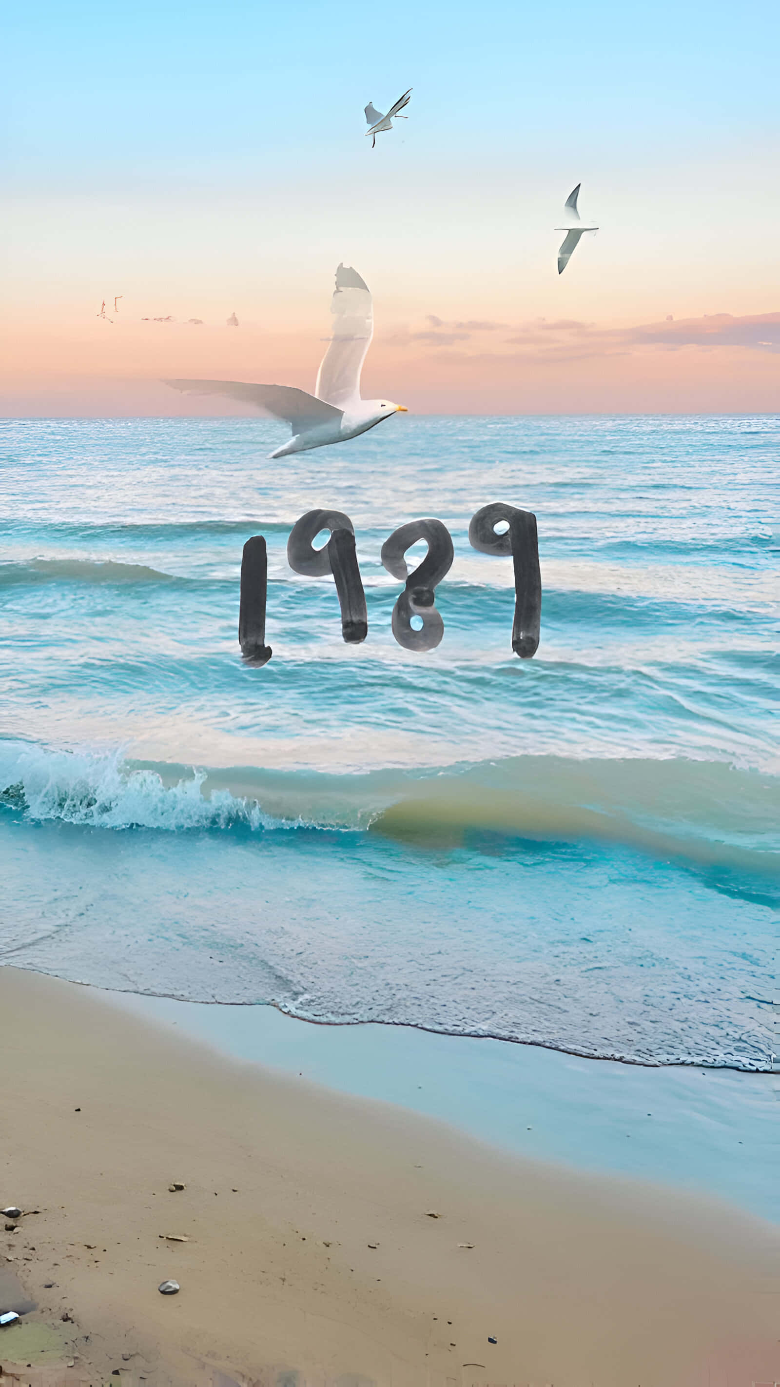 1989, seagulls, beach, 2K Phone Wallpaper