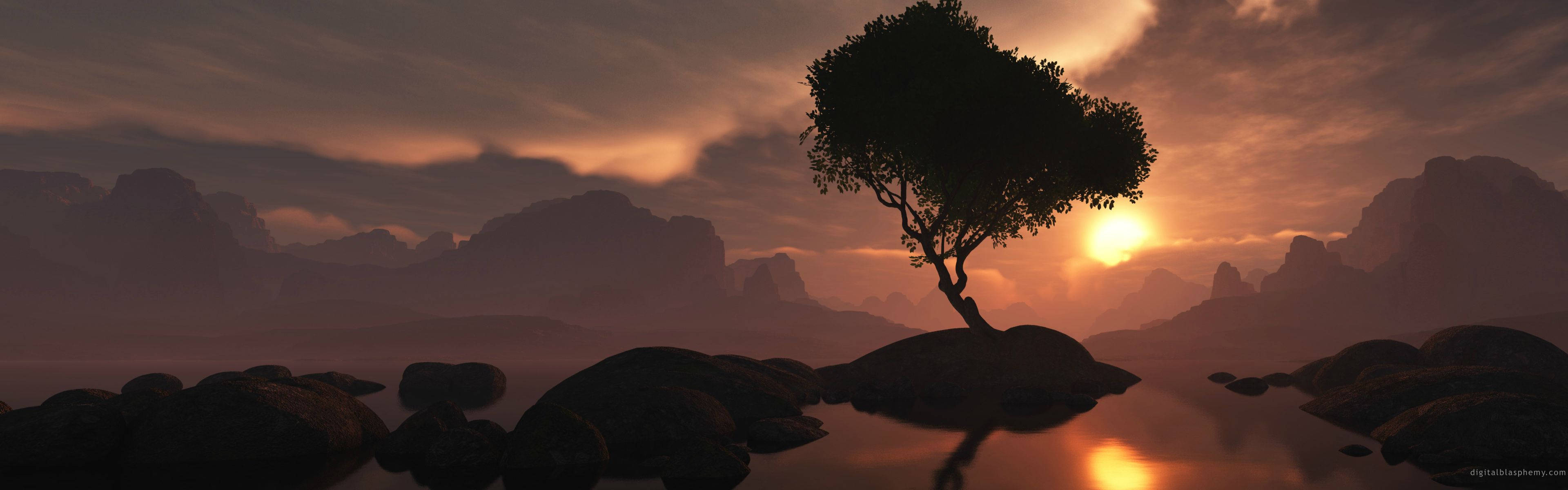 2 Monitor, Sunset, lone tree, 4K Desktop Wallpaper