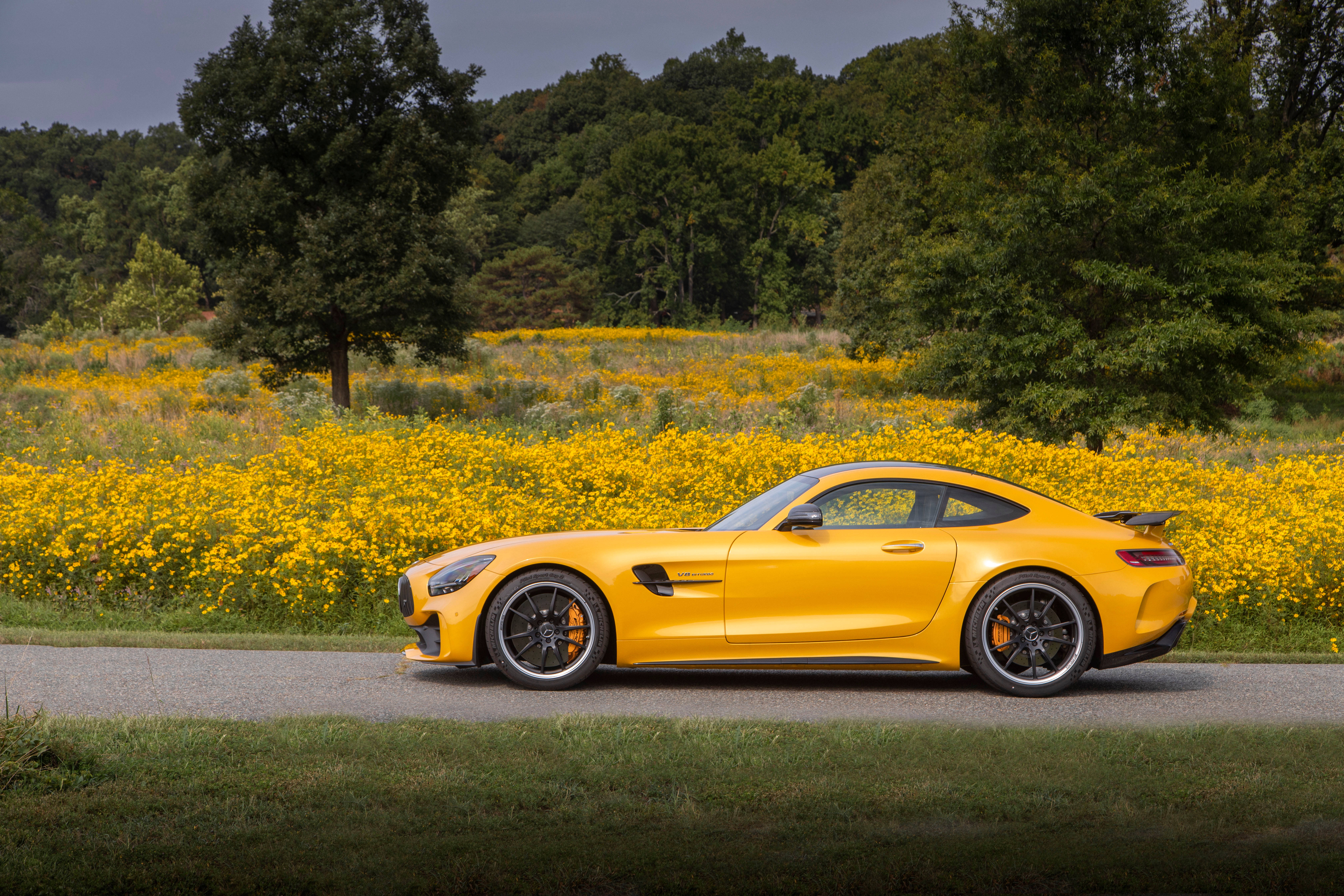 2020 Mercedes AMG GT R PRO, vibrant yellow, golden field of wildflowers, 5K Desktop Wallpaper