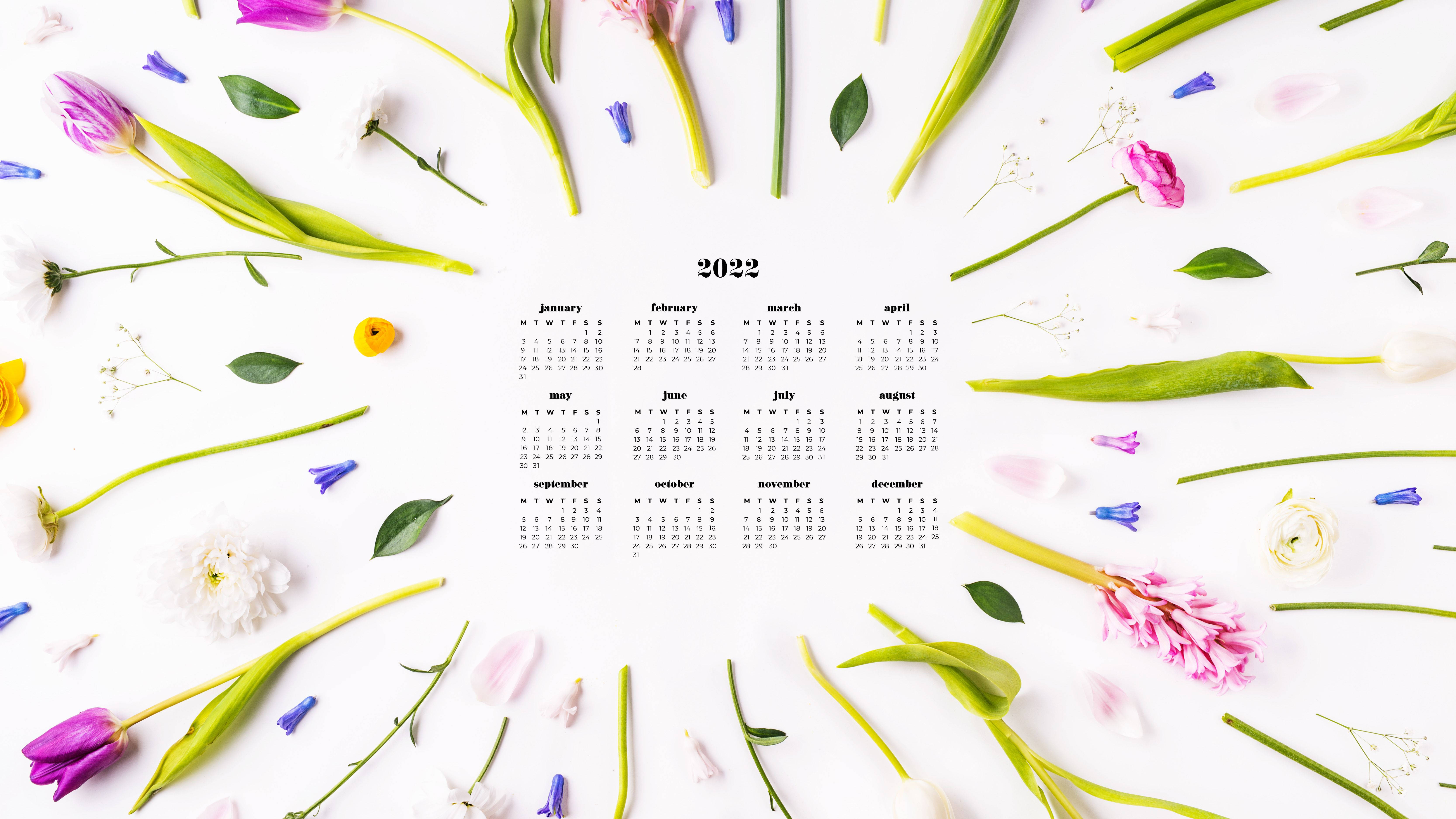 2022 Calendar, tulips, white surface, 5K Desktop Wallpaper
