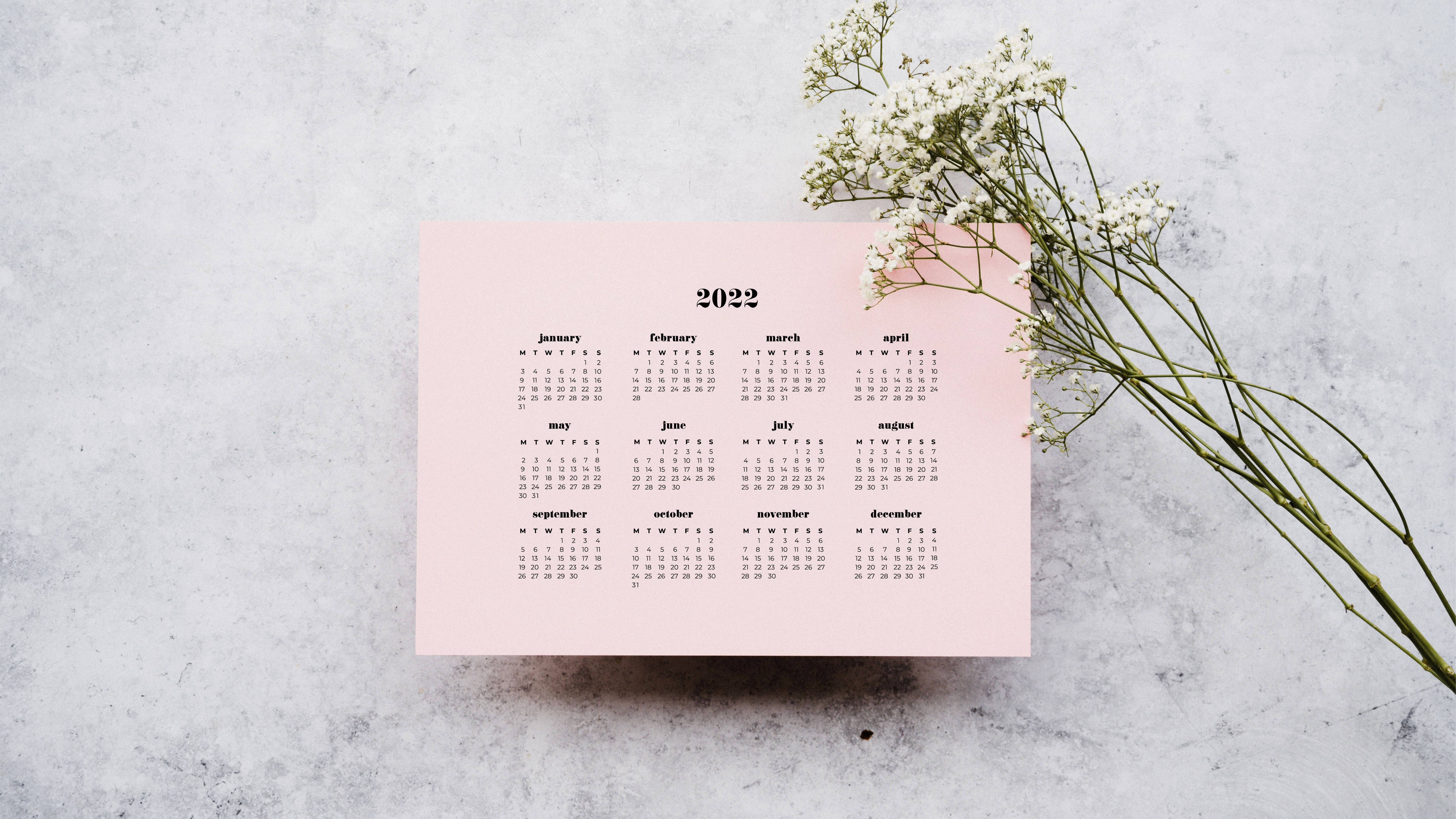 Gypsophila 2022 Calendar, soft pink, textured gray surface, 5K Desktop Wallpaper