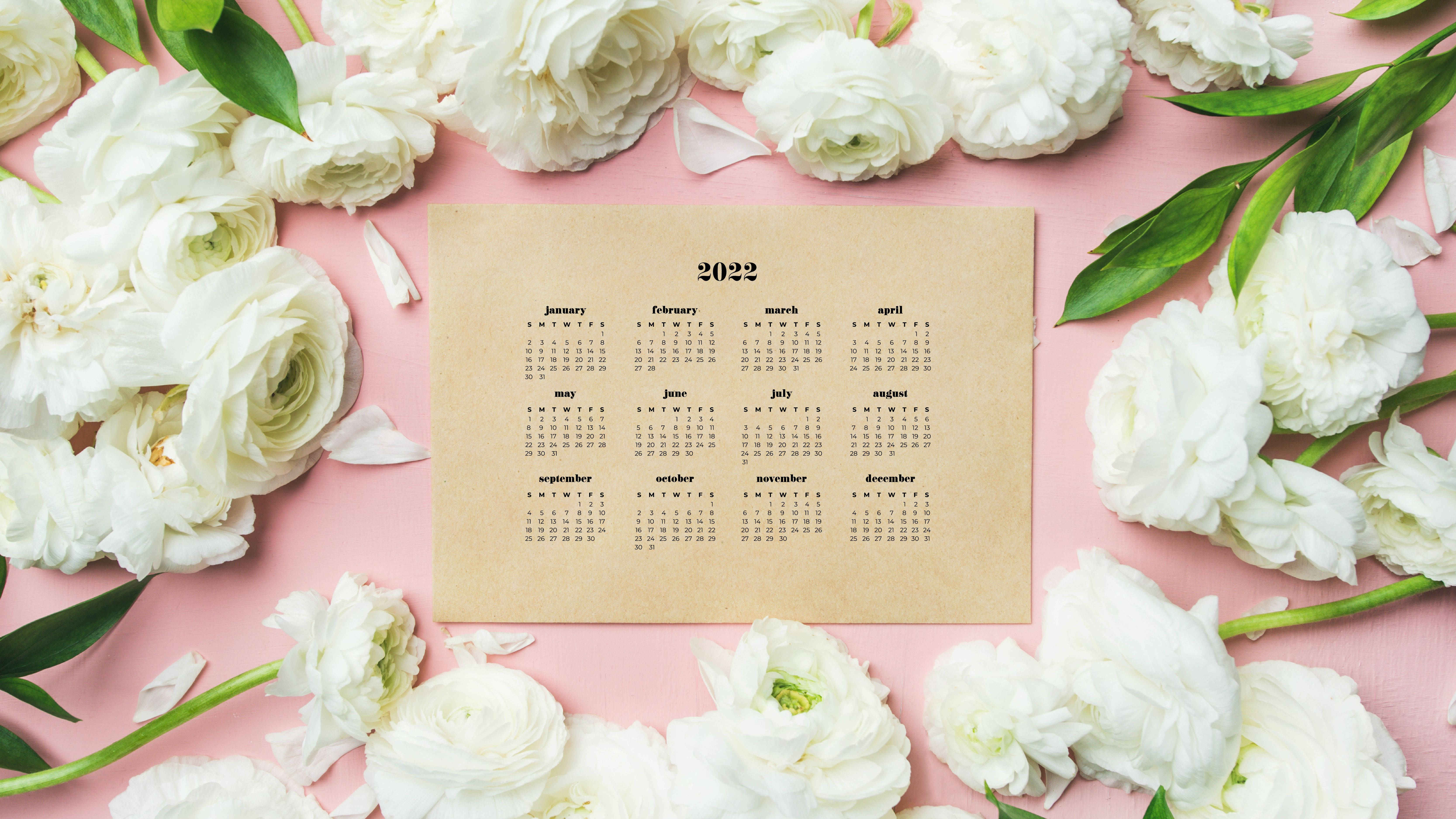 2022 Calendar, peonies flower, soft pink surface, 5K Desktop Wallpaper