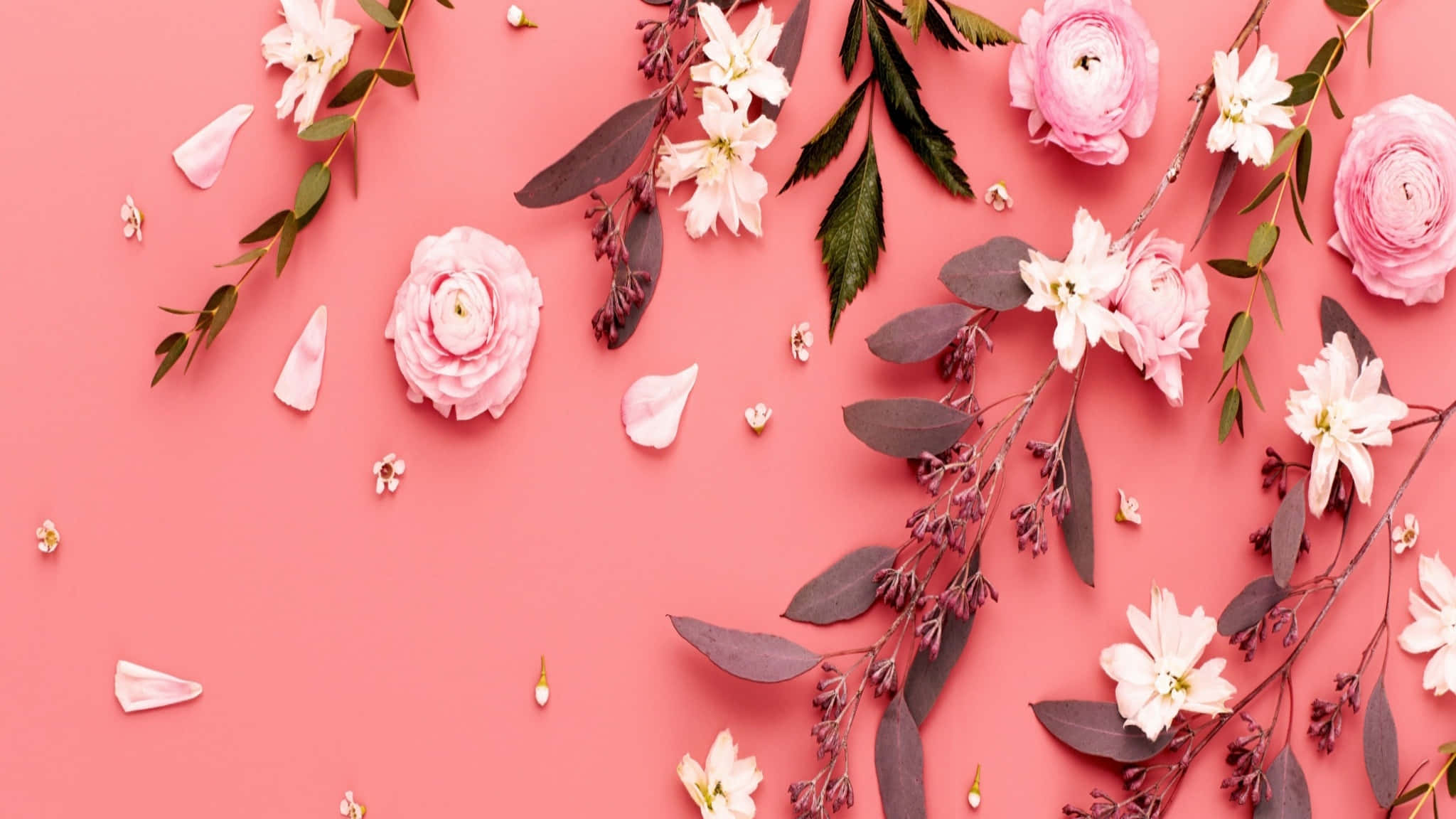 2048x1152 Aesthetic, pastel pink flowers, green leaves, Full HD Desktop Wallpaper