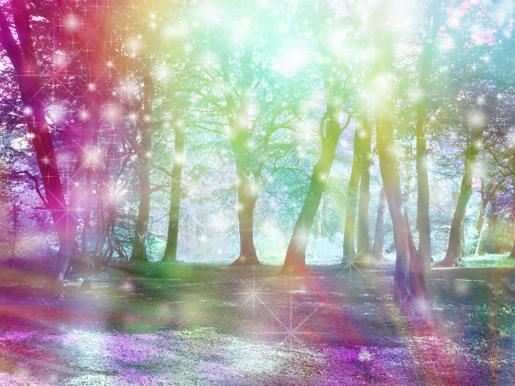 Purple springtime grandeur, magical forest, vibrant rainbow light, Full HD Desktop Wallpaper