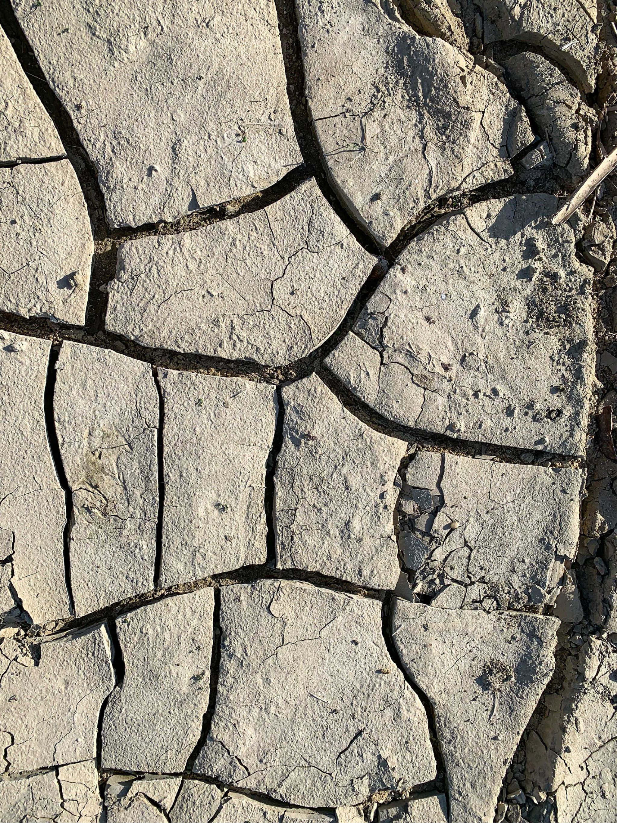 2048x2732, parched earth, cracked, 2K Phone Wallpaper