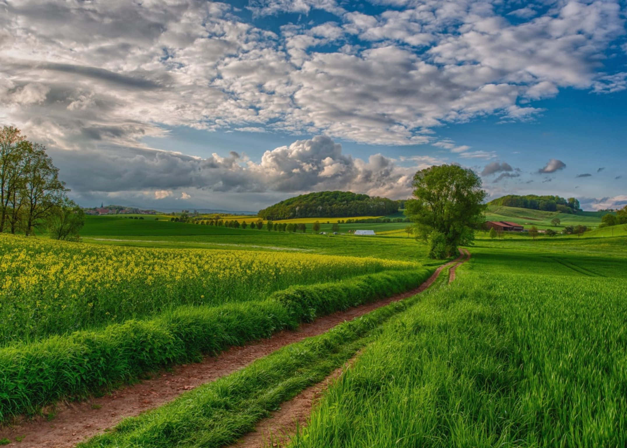 2152x1536, serene green valley, sunrise, Full HD Desktop Wallpaper