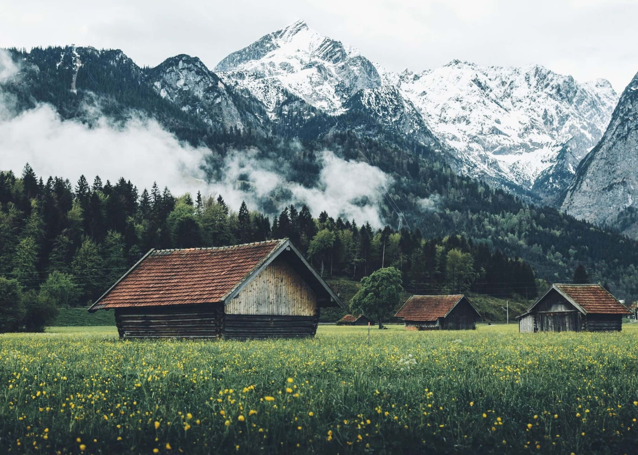 2152x1536, snow-capped mountains, misty forests, Full HD Desktop Wallpaper