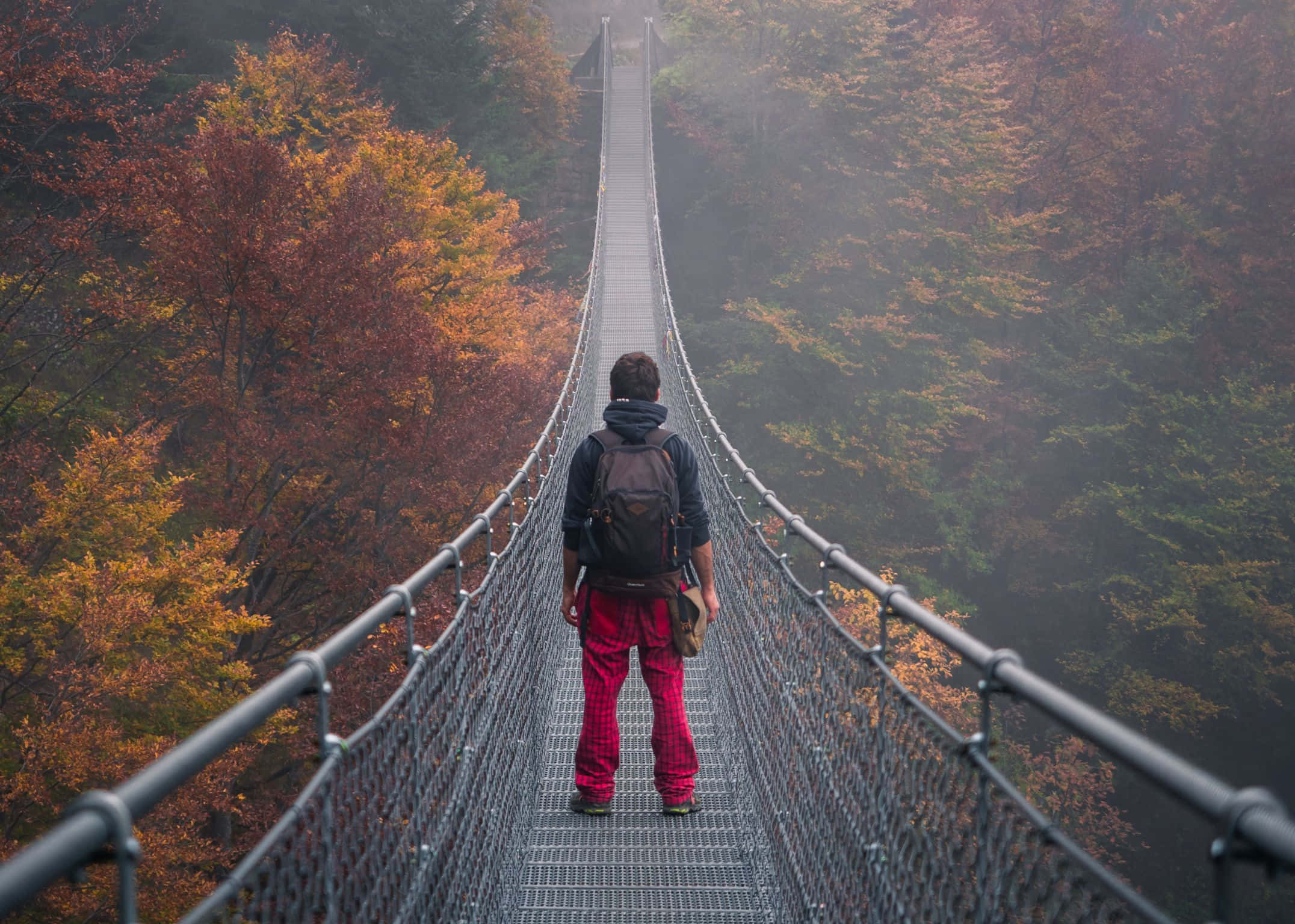 2152x1536, suspension bridge, autumn forests, Full HD Desktop Wallpaper