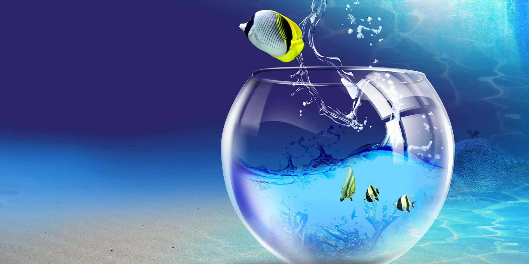 2160x1080, vibrant yellow and black butterfly fish, glass bowl of water, Full HD Desktop Wallpaper