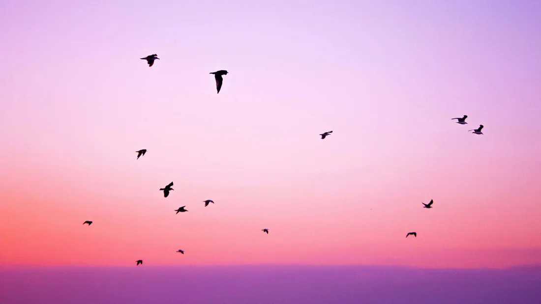 2160x1215