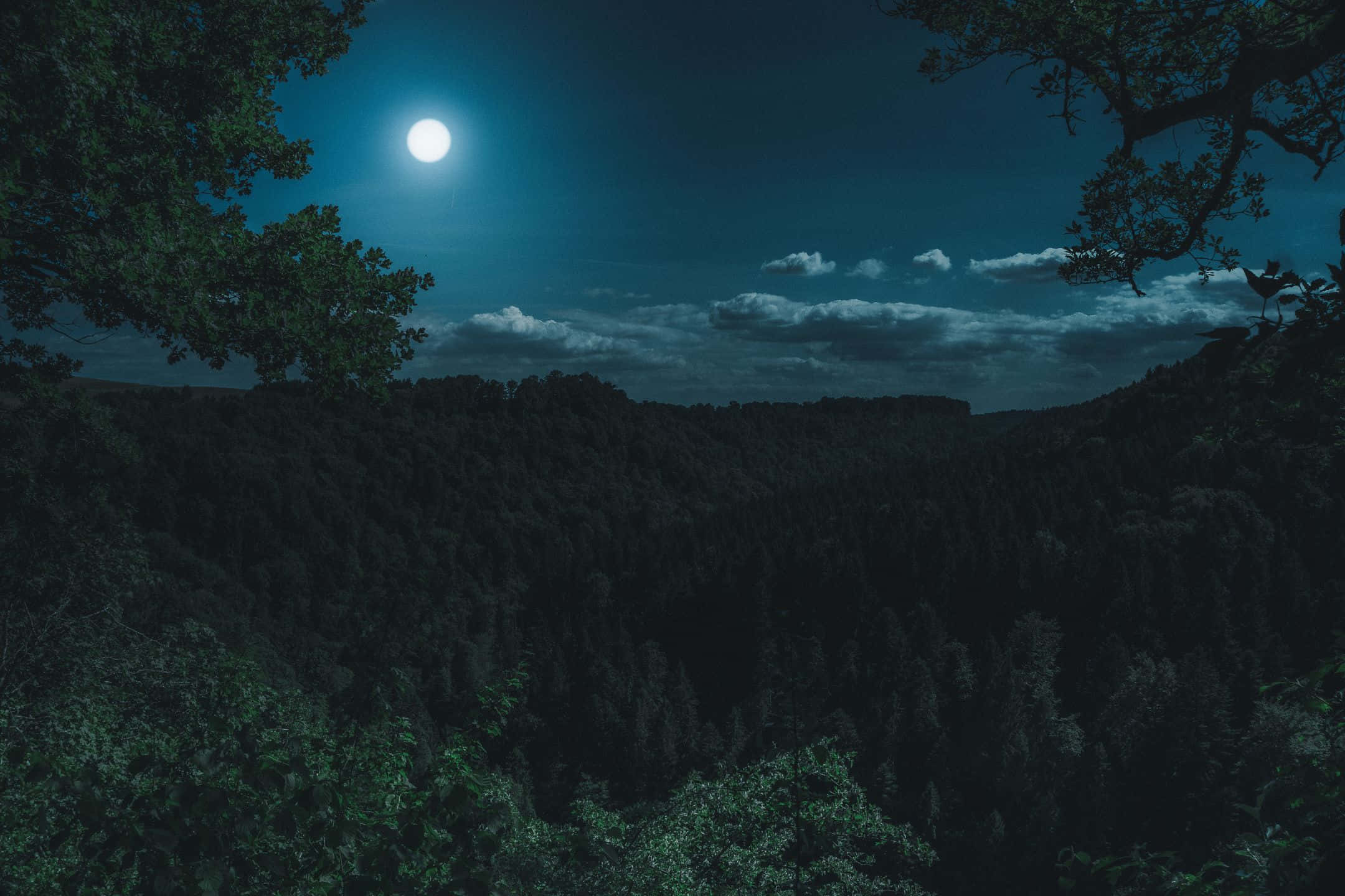 2160x1440, full moon, dense forest valley, Full HD Desktop Wallpaper