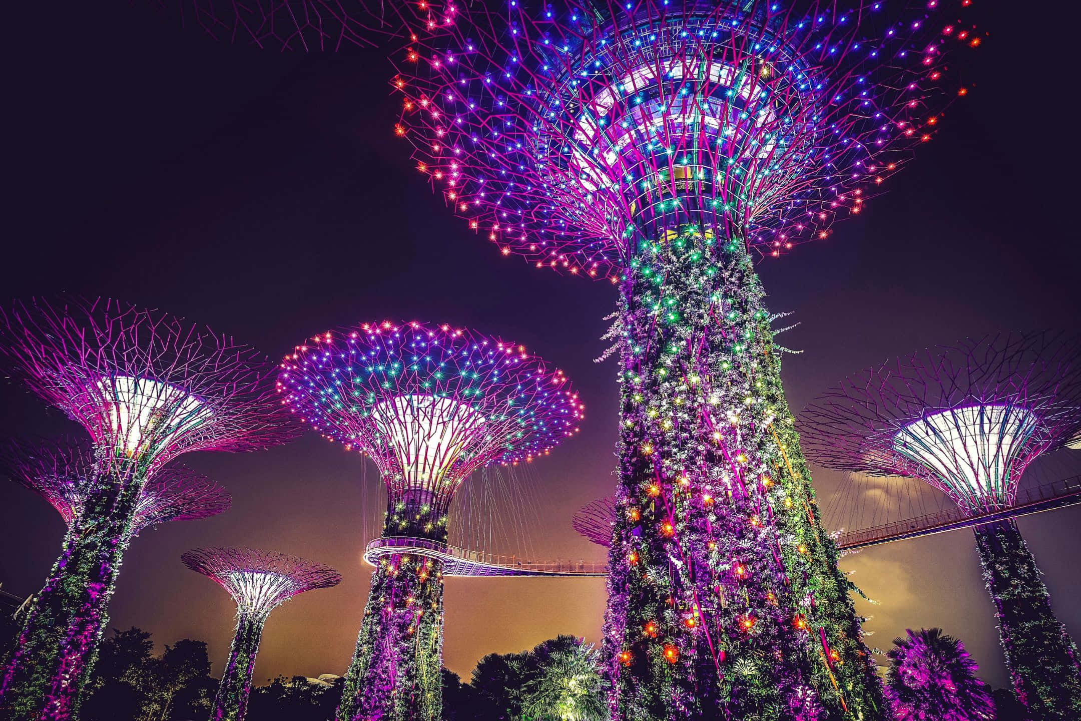 2160x1440, neon lights, futuristic urban park, Full HD Desktop Wallpaper