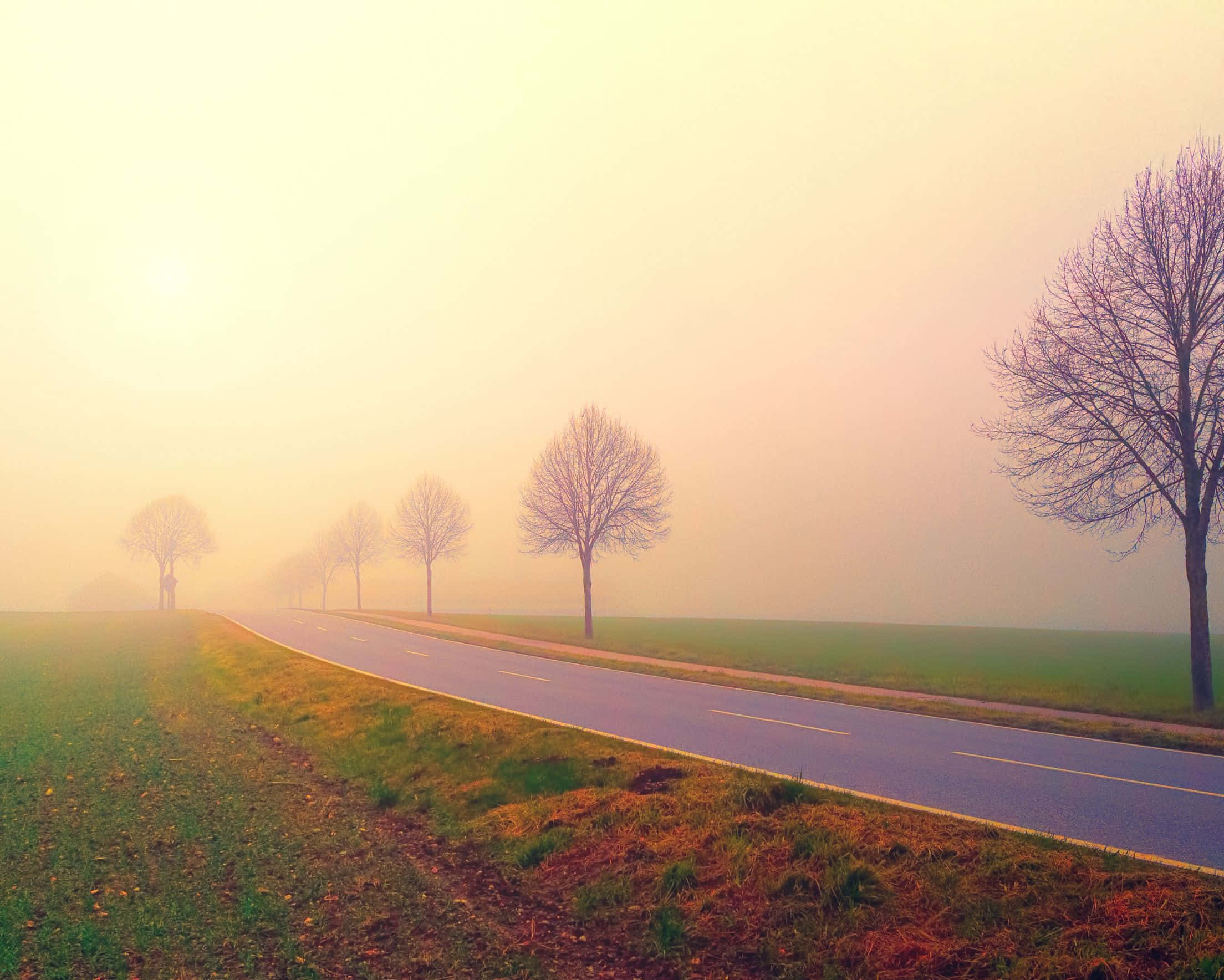 2208x1768, misty dawn, golden sky, Full HD Desktop Wallpaper