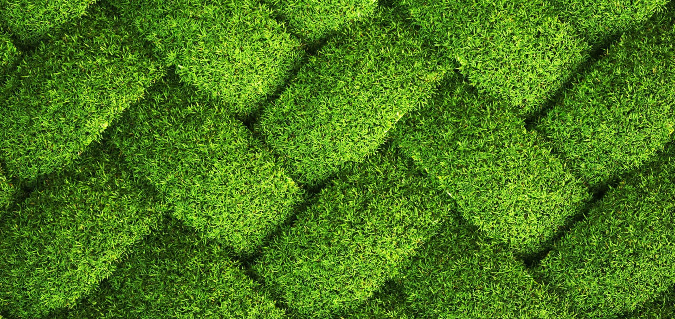 2280x1080, lush green grass, geometric pattern, Full HD Desktop Wallpaper