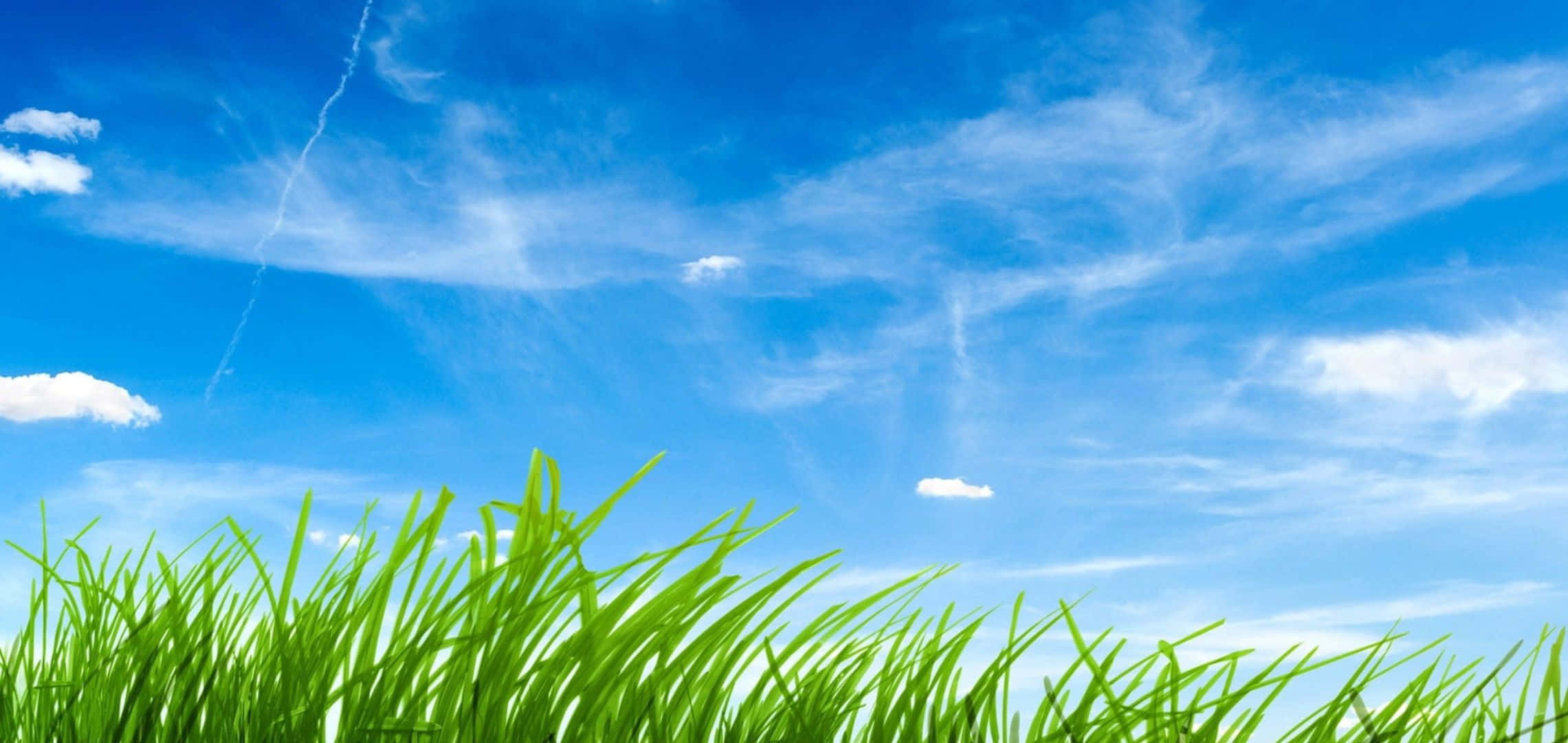 2280x1080, vibrant green grass, bright blue sky, Full HD Desktop Wallpaper