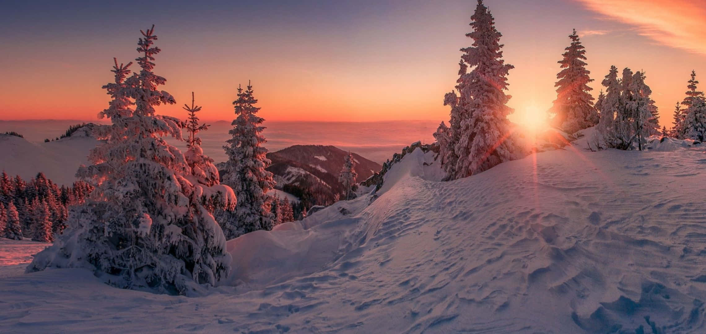 Sunset, snowy mountain peaks, frosty pines, Full HD Desktop Wallpaper