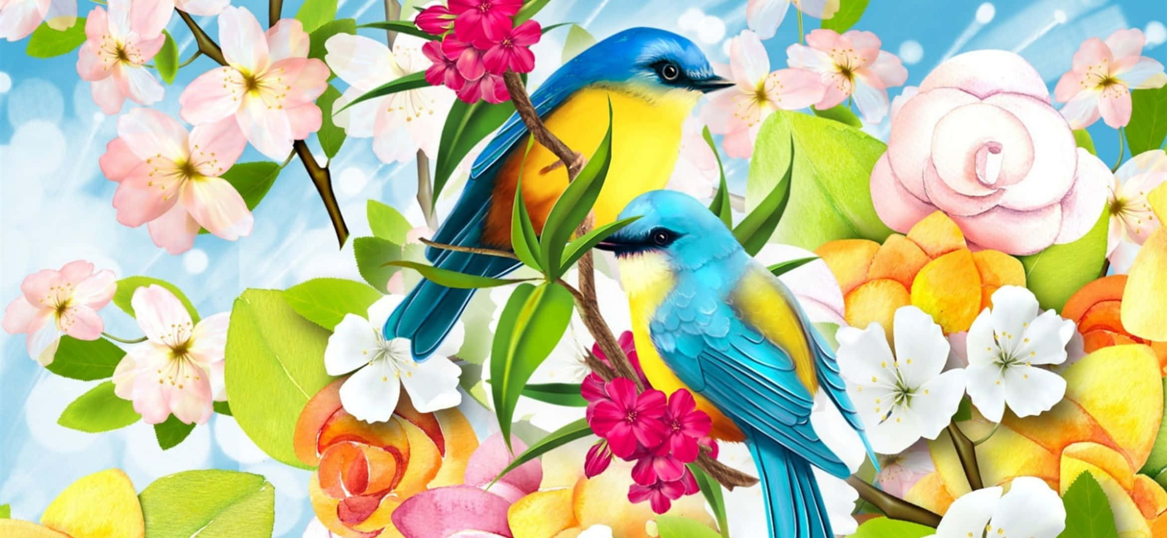 2340x1080, vibrant blue, yellow birds, Full HD Desktop Wallpaper