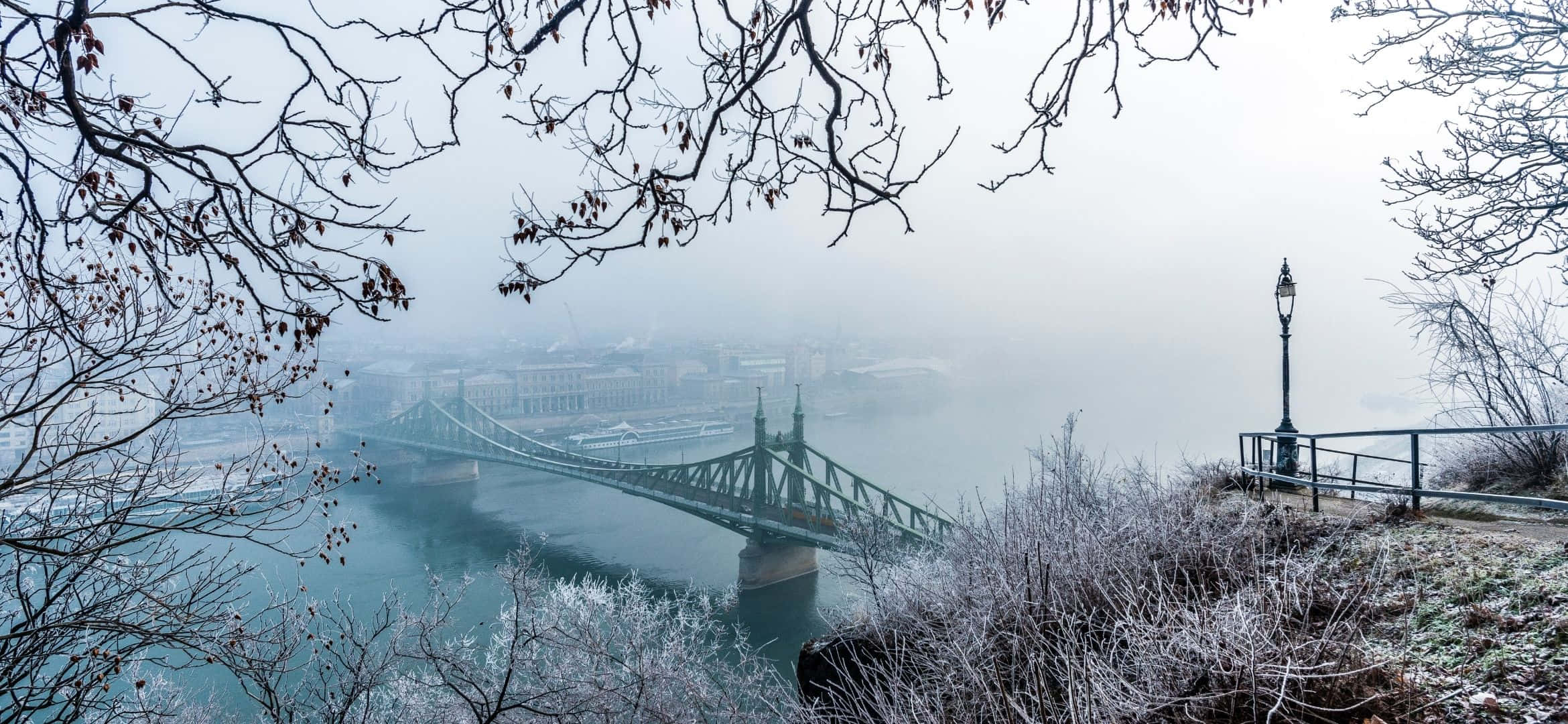 2340x1080, green suspension bridge, river, Full HD Desktop Wallpaper