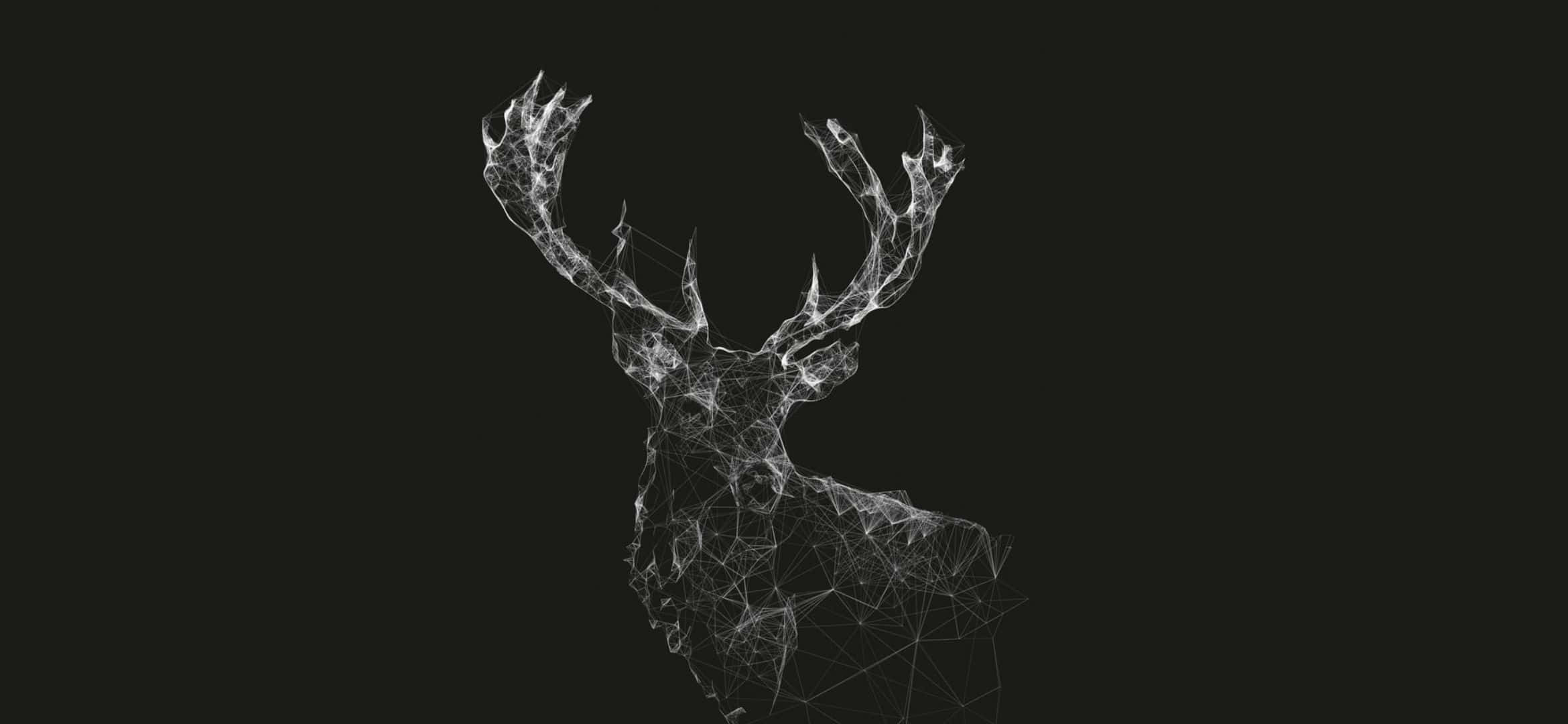 deer head, geometric wireframe, glowing white lines, Full HD Desktop Wallpaper
