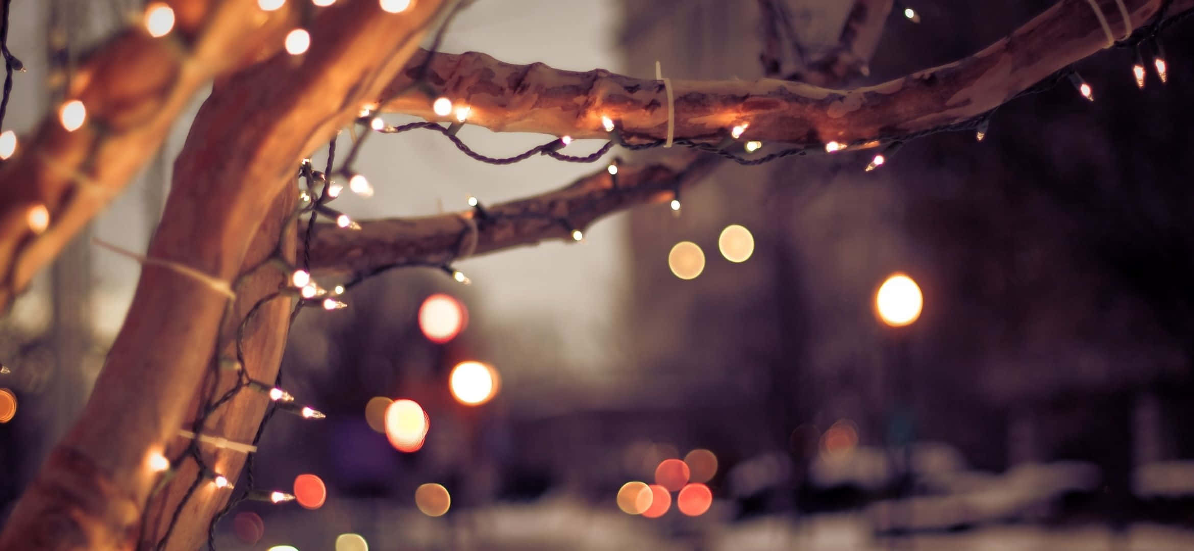 Christmas lights, tree, bare tree branches, Full HD Desktop Wallpaper
