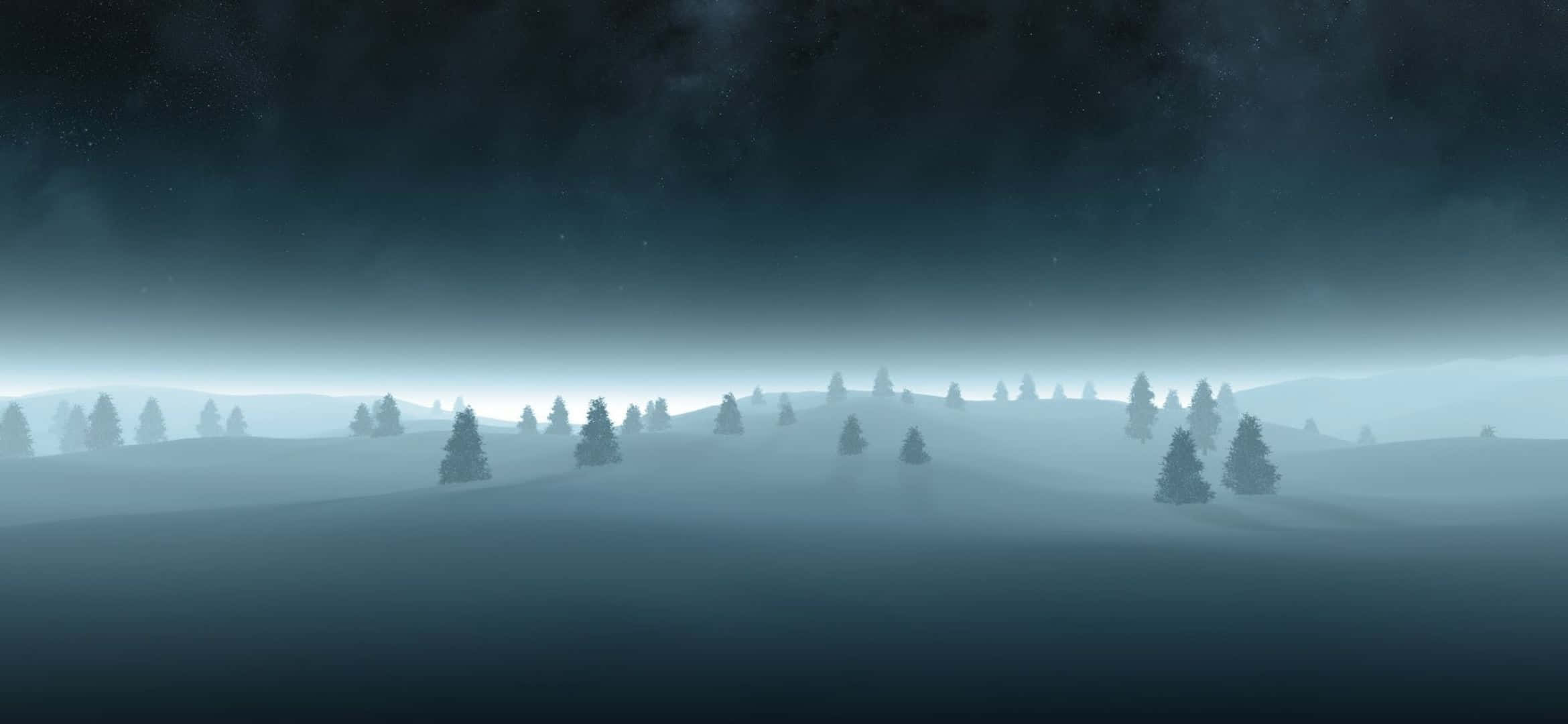 misty night landscape, silhouetted pine trees, starry sky, Full HD Desktop Wallpaper