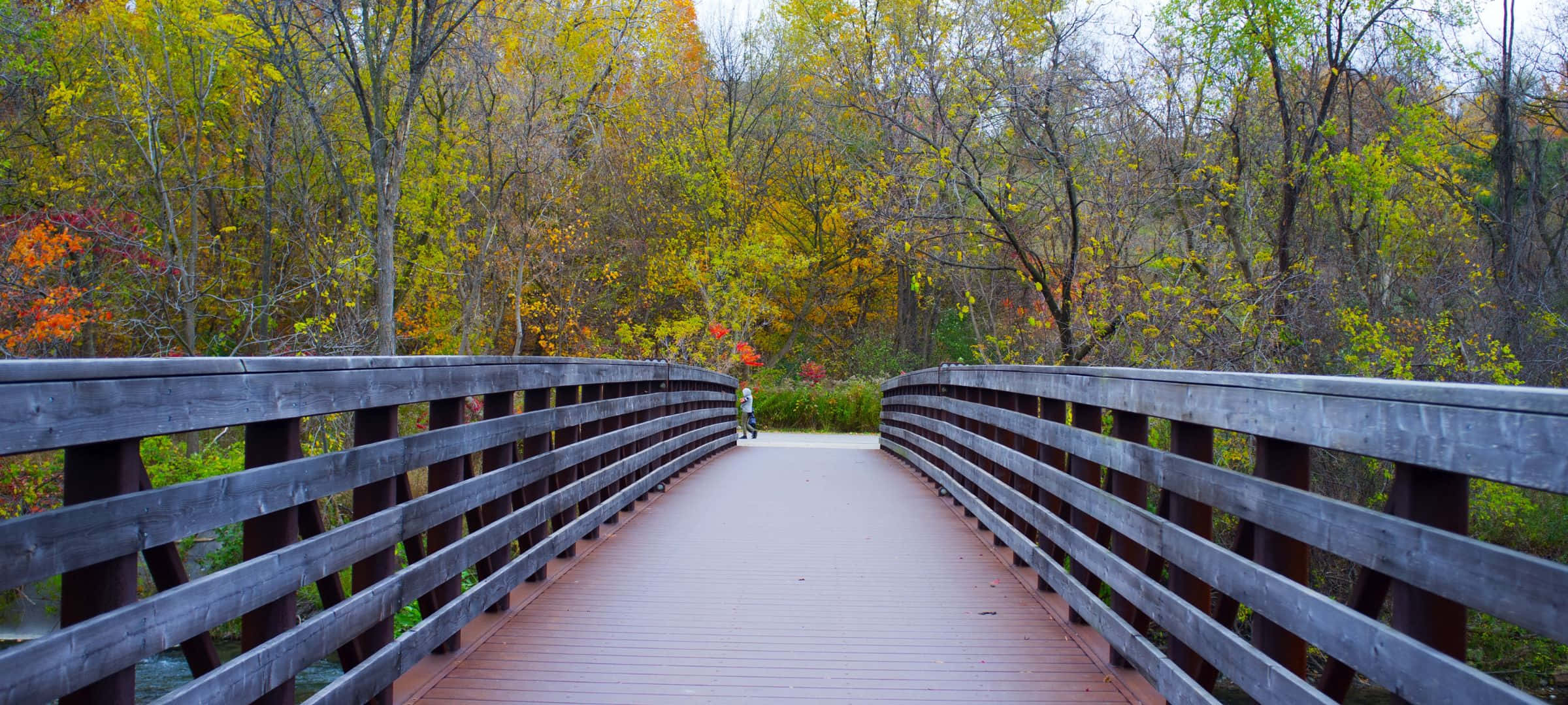 2400x1080, wooden bridge, autumn forest, Full HD Desktop Wallpaper