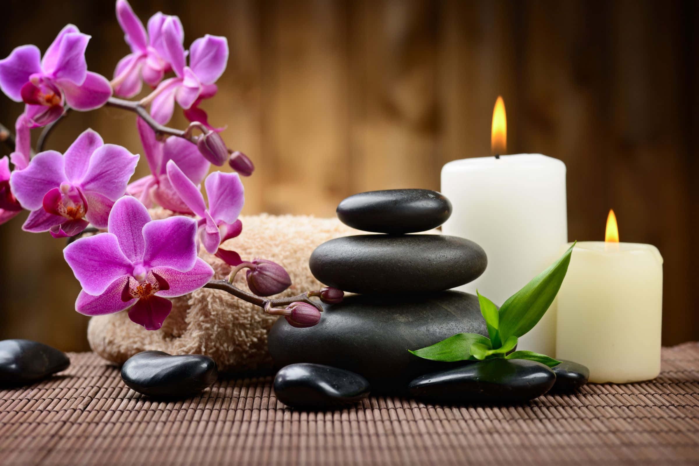 2400x1600, vibrant purple orchids, stacked black stones, Full HD Desktop Wallpaper