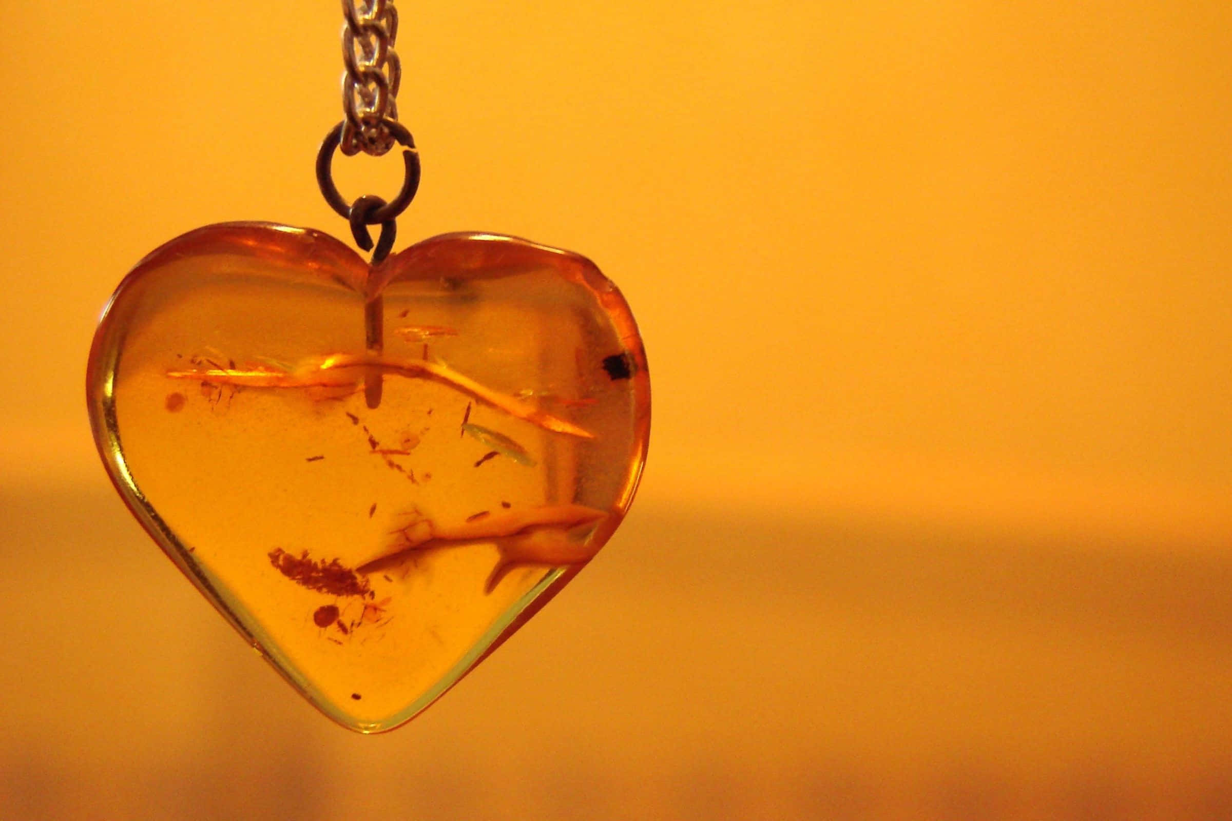 2400x1600, amber pendant, trapped insects, Full HD Desktop Wallpaper
