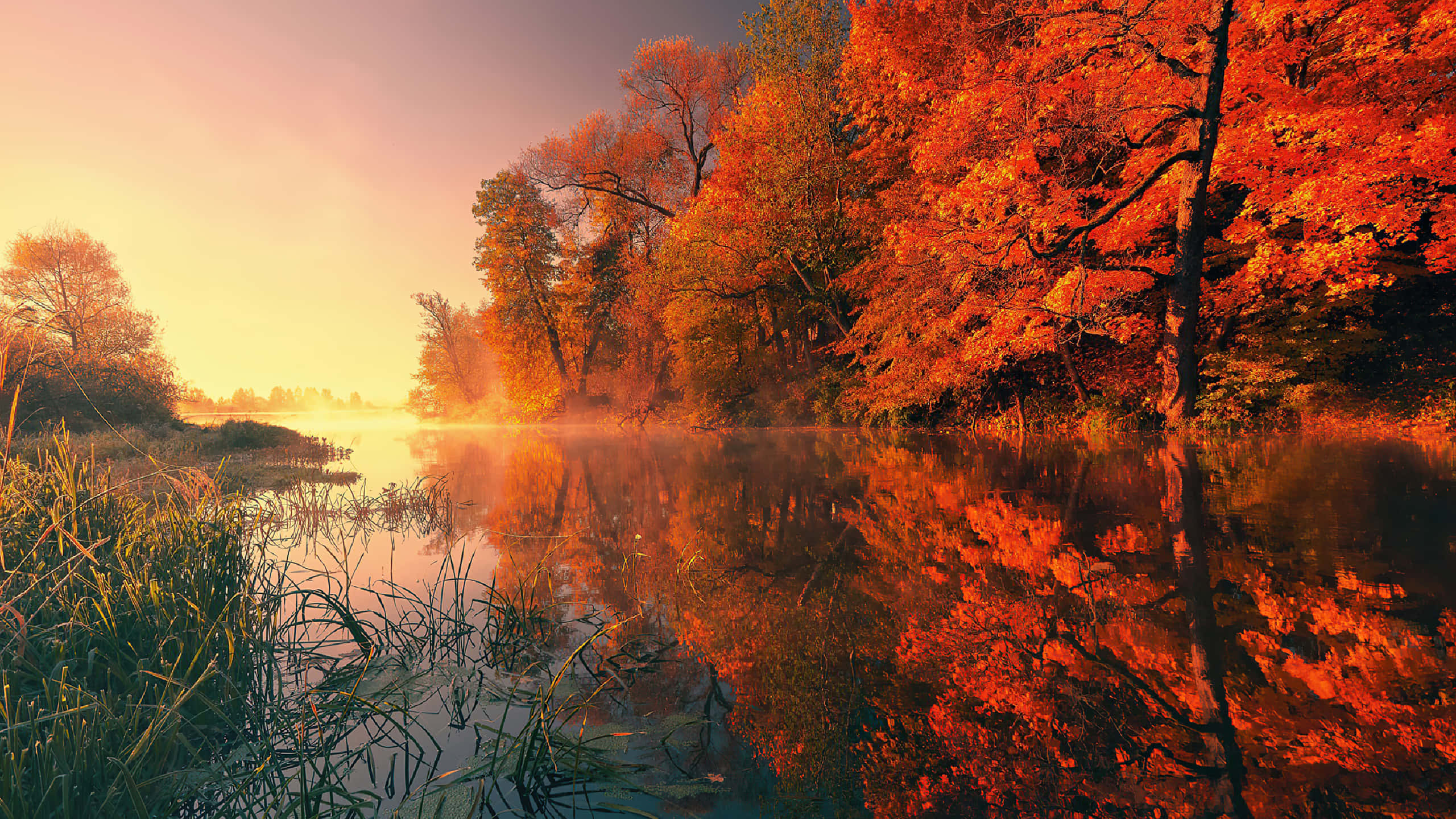 2560 X 1440, autumn, sunrise, 2K Desktop Wallpaper