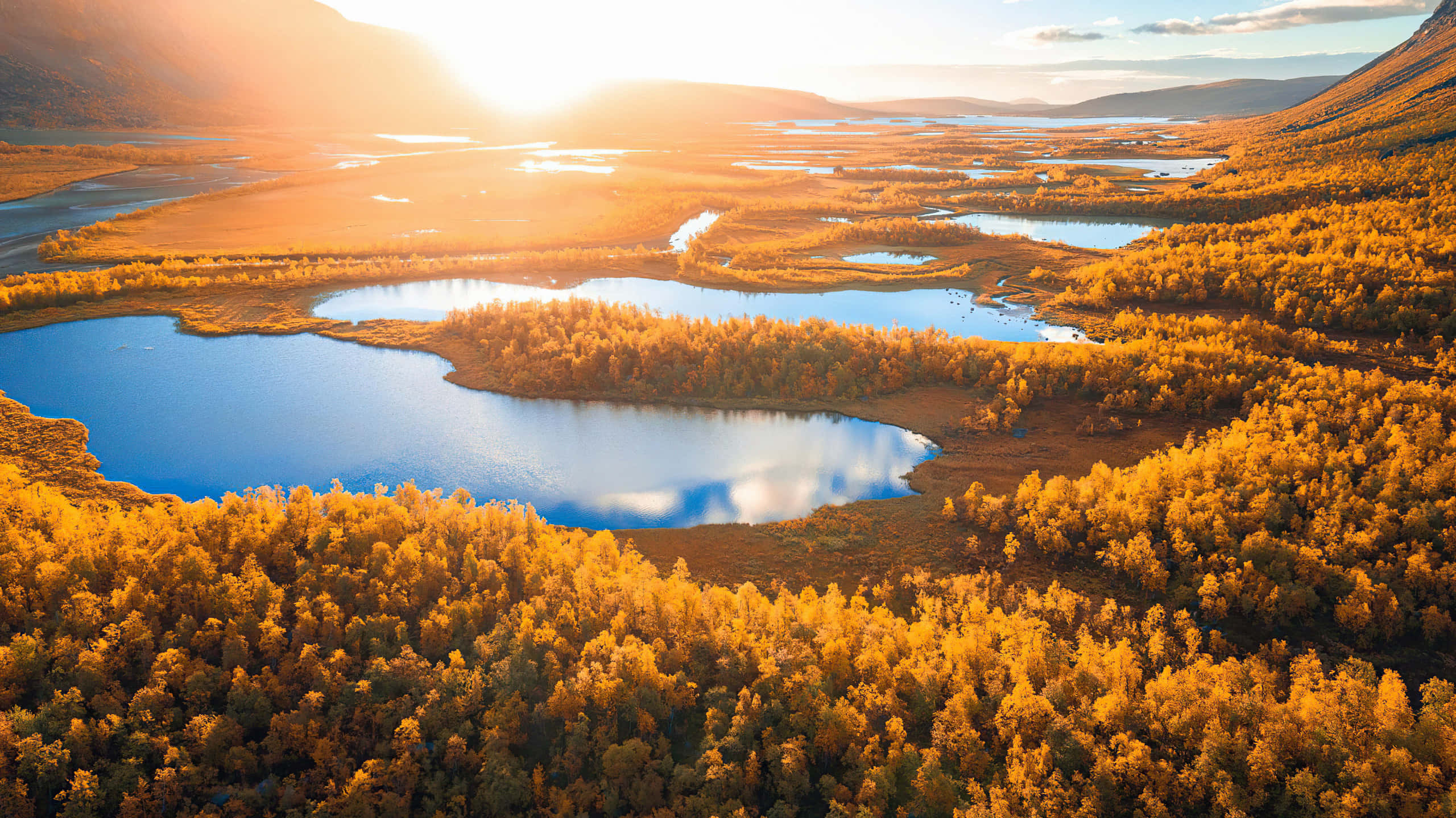 2560 x 1440, autumn, golden autumn forests, 2K Desktop Wallpaper