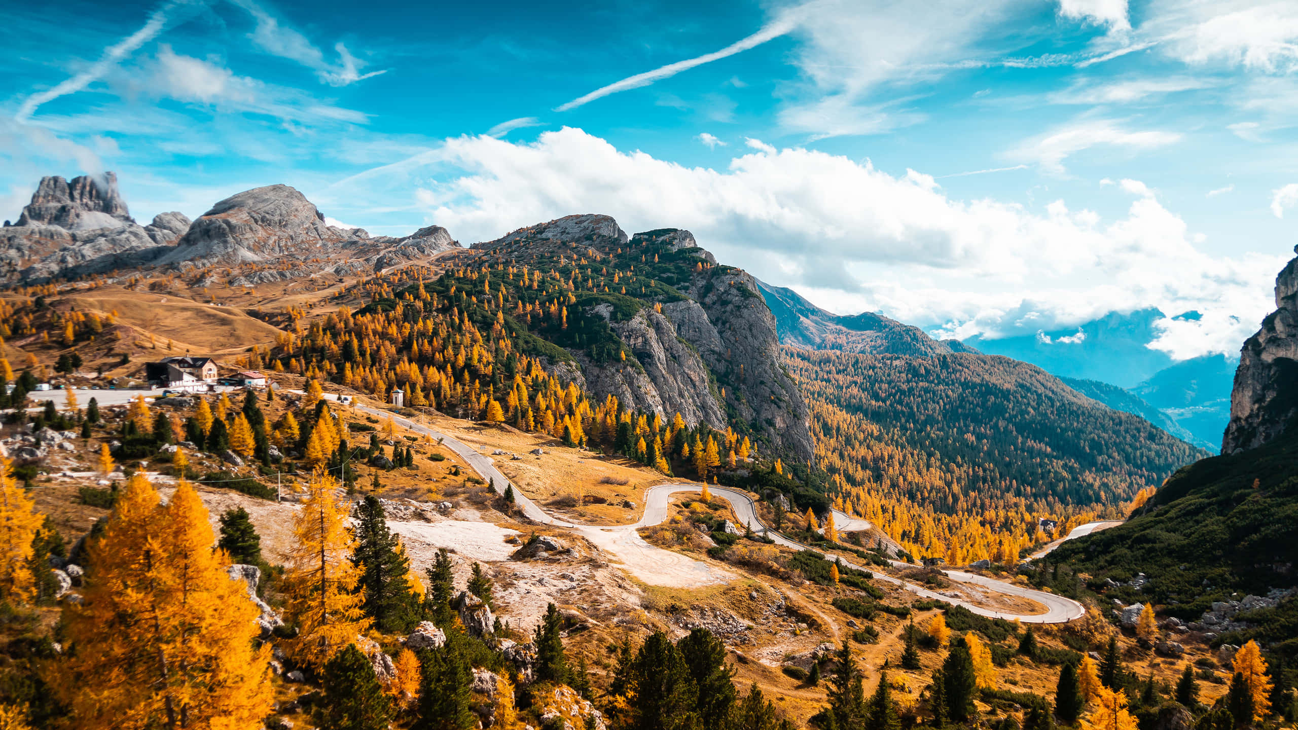 2560 x 1440 autumn, golden larch forests, winding mountain road, 2K Desktop Wallpaper