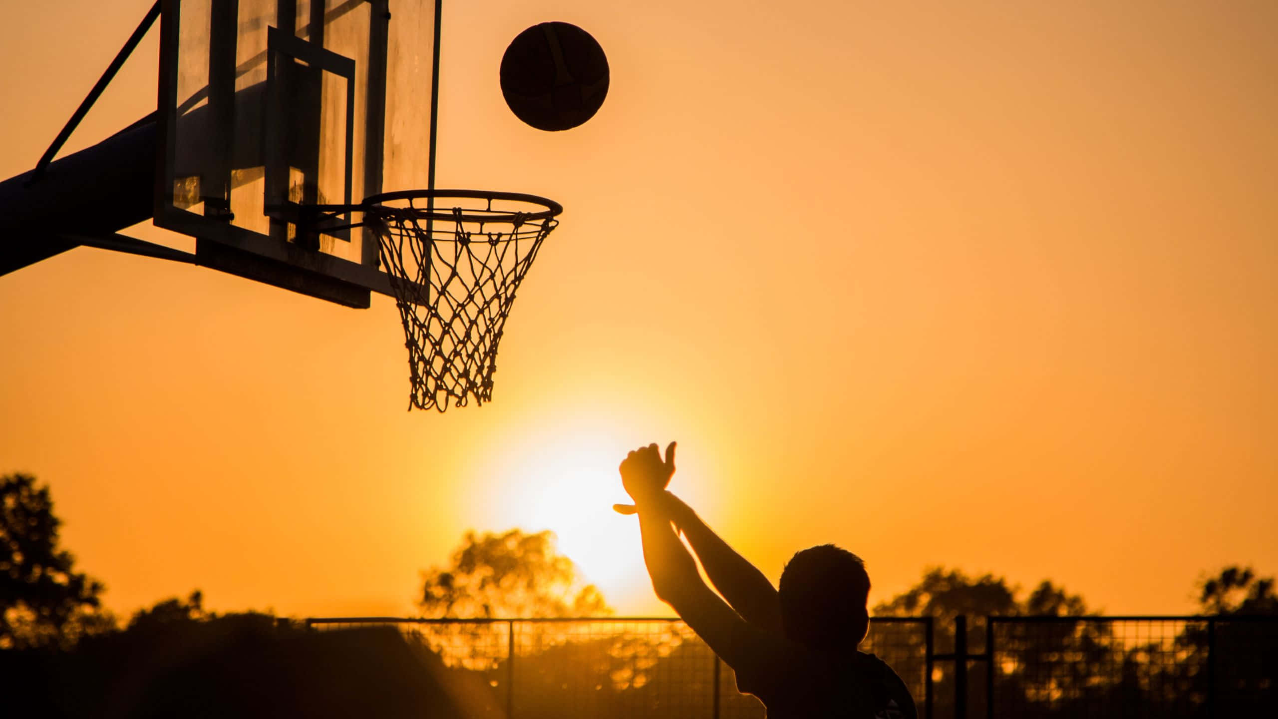 2560x1440, basketball, slam dunk, 2K Desktop Wallpaper