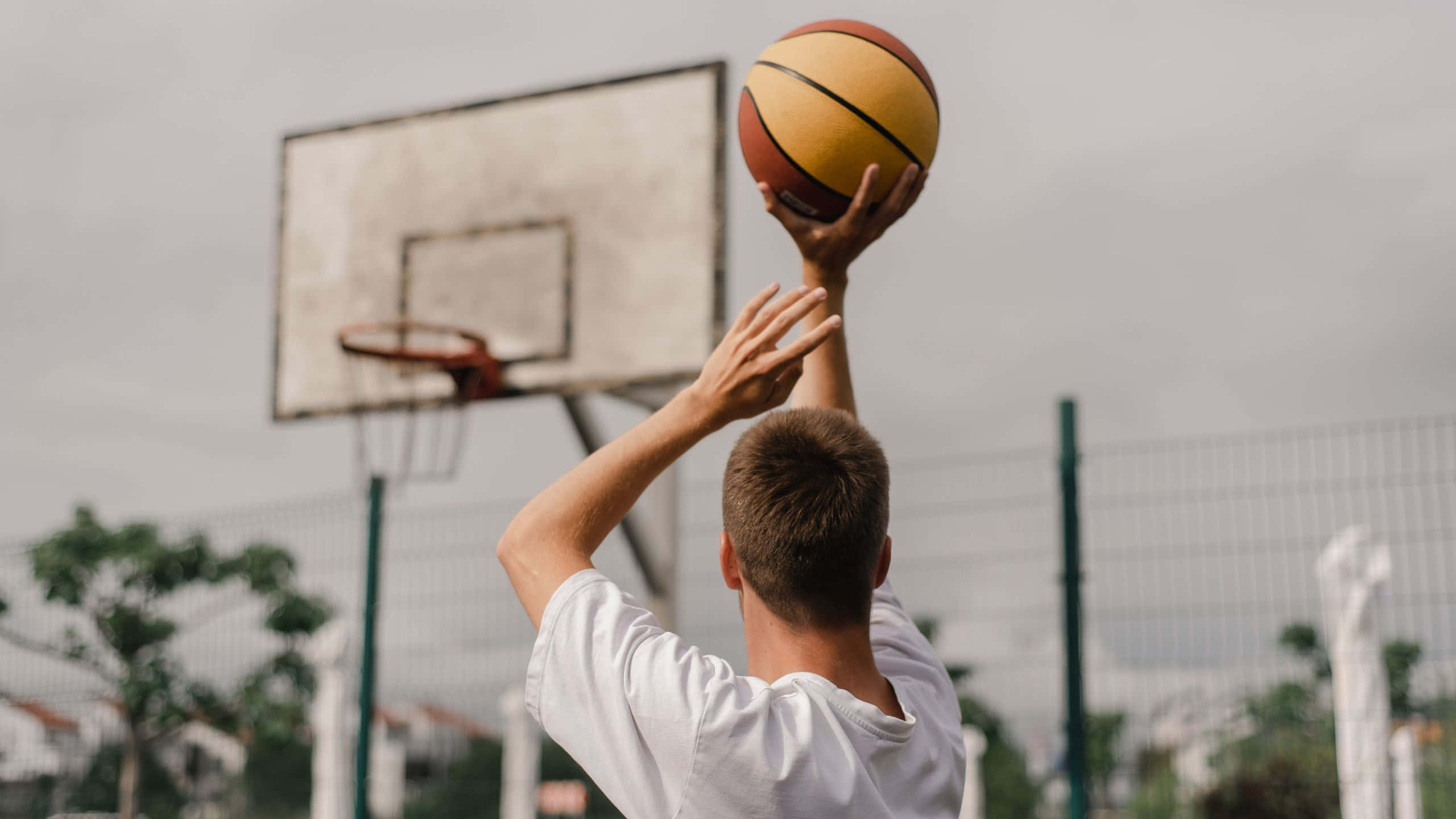 2560x1440 basketball, white shirt, weathered hoop, 2K Desktop Wallpaper