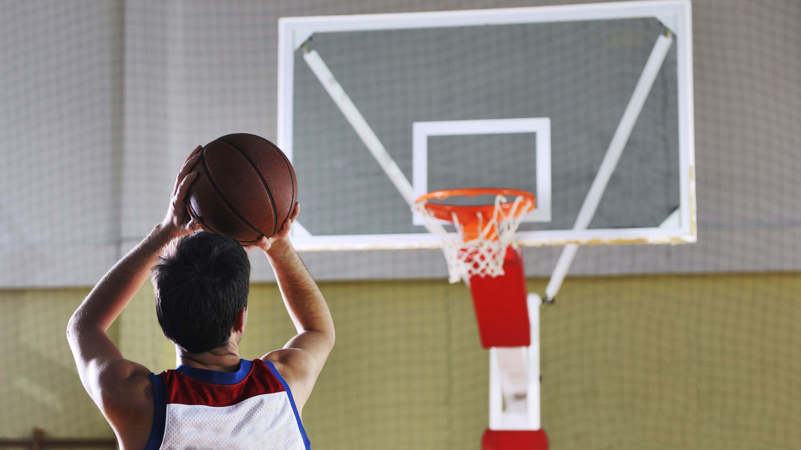 2560x1440, basketball, red white and blue jersey, 2K Desktop Wallpaper