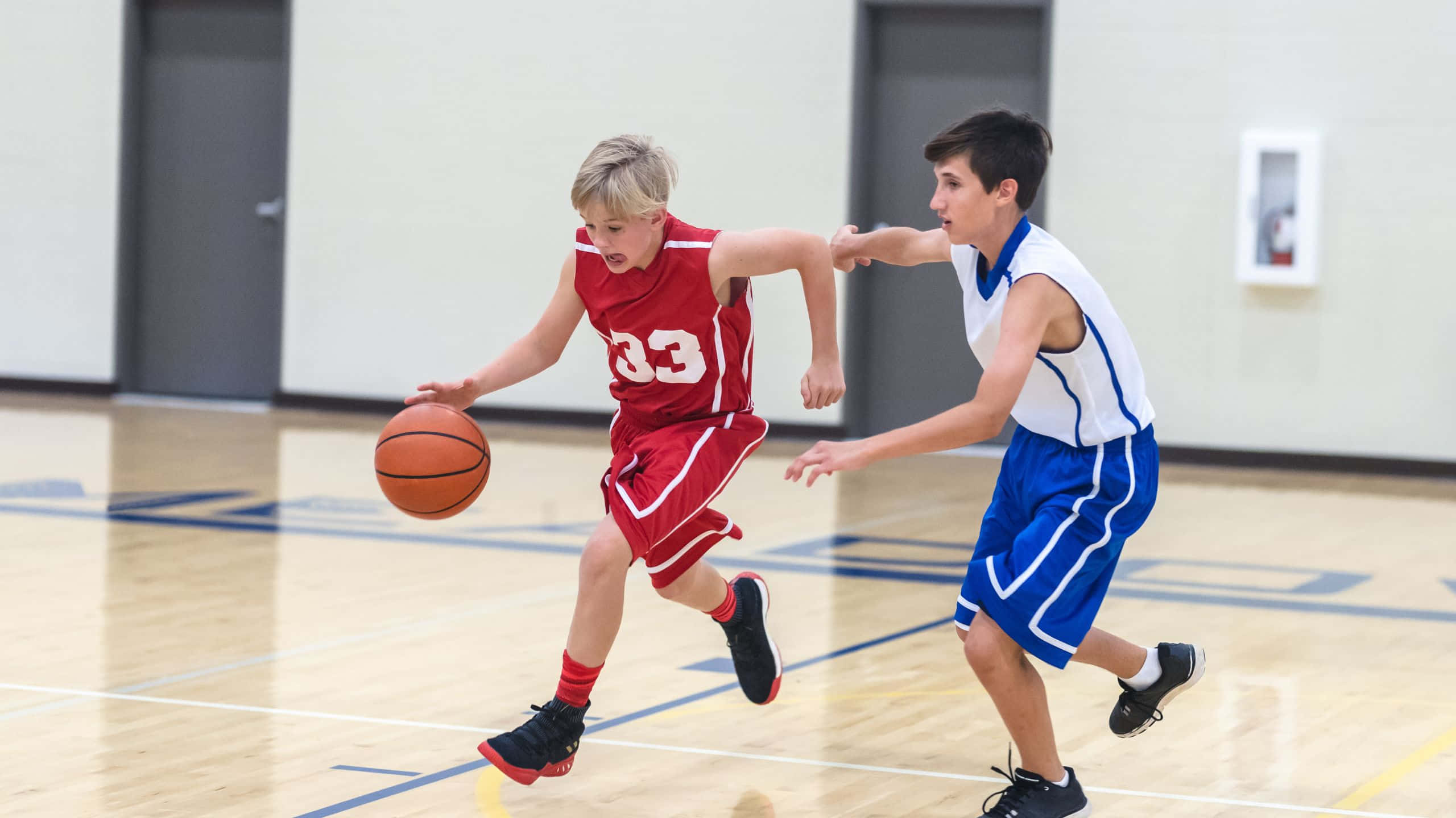 2560x1440 basketball, gymnasium, polished wooden floors, 2K Desktop Wallpaper