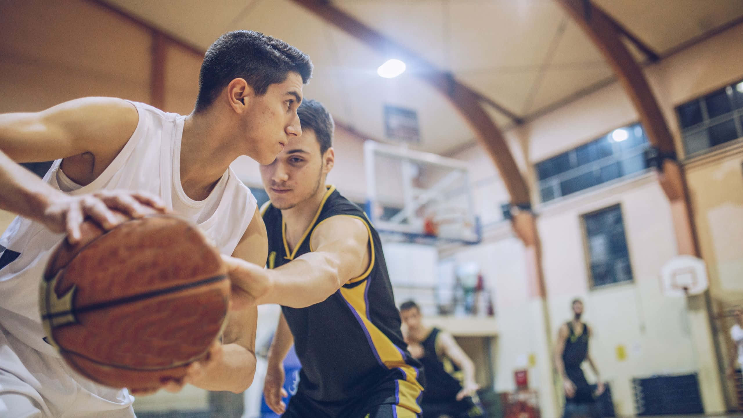 2560x1440, basketball, indoor gymnasium, 2K Desktop Wallpaper