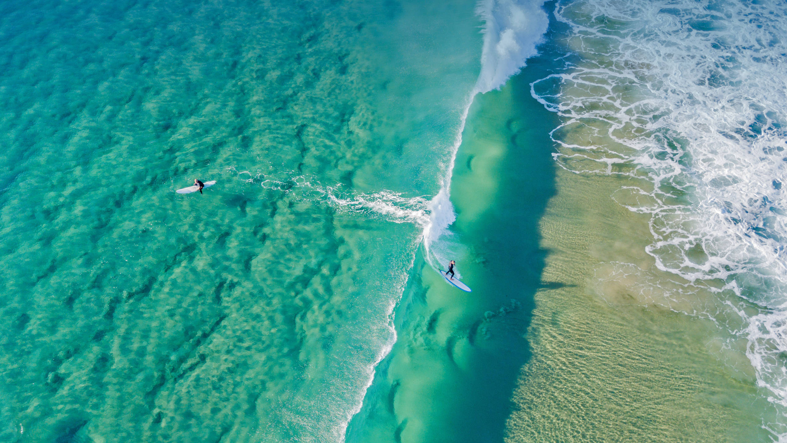 2560x1440, nature, palm beach, 2K Desktop Wallpaper