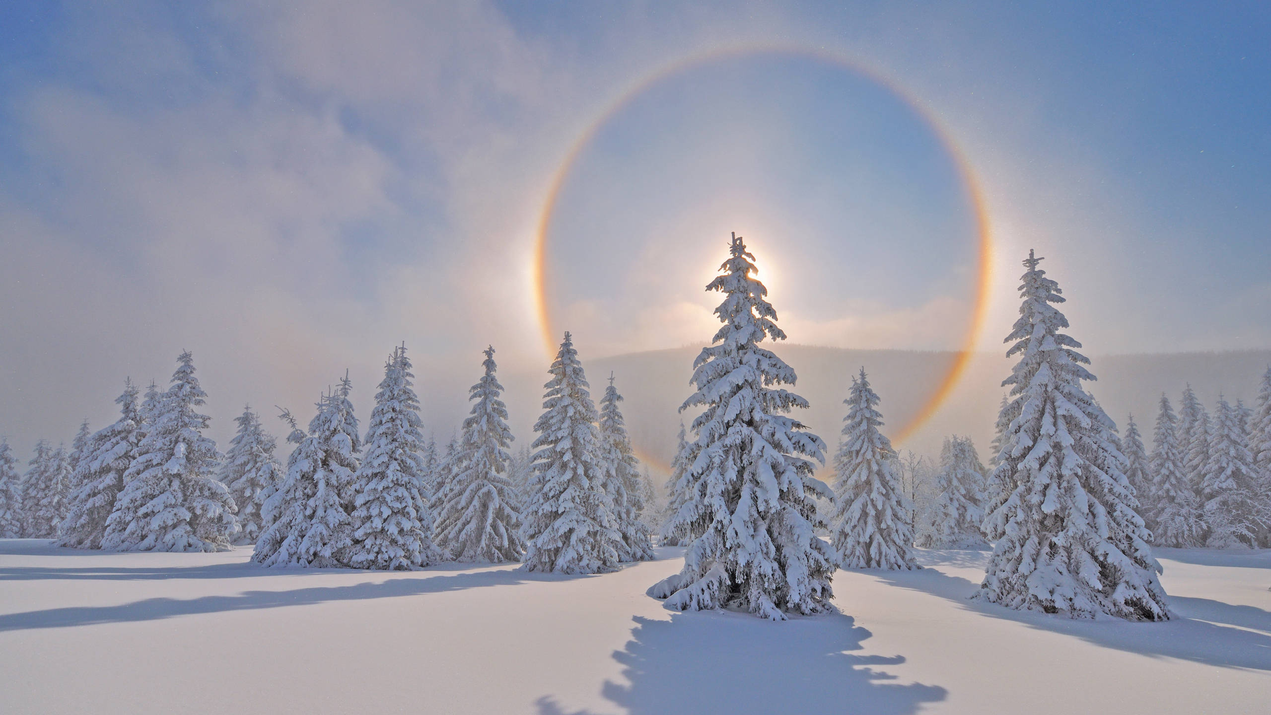 2560x1440, nature, ore mountains, 2K Desktop Wallpaper