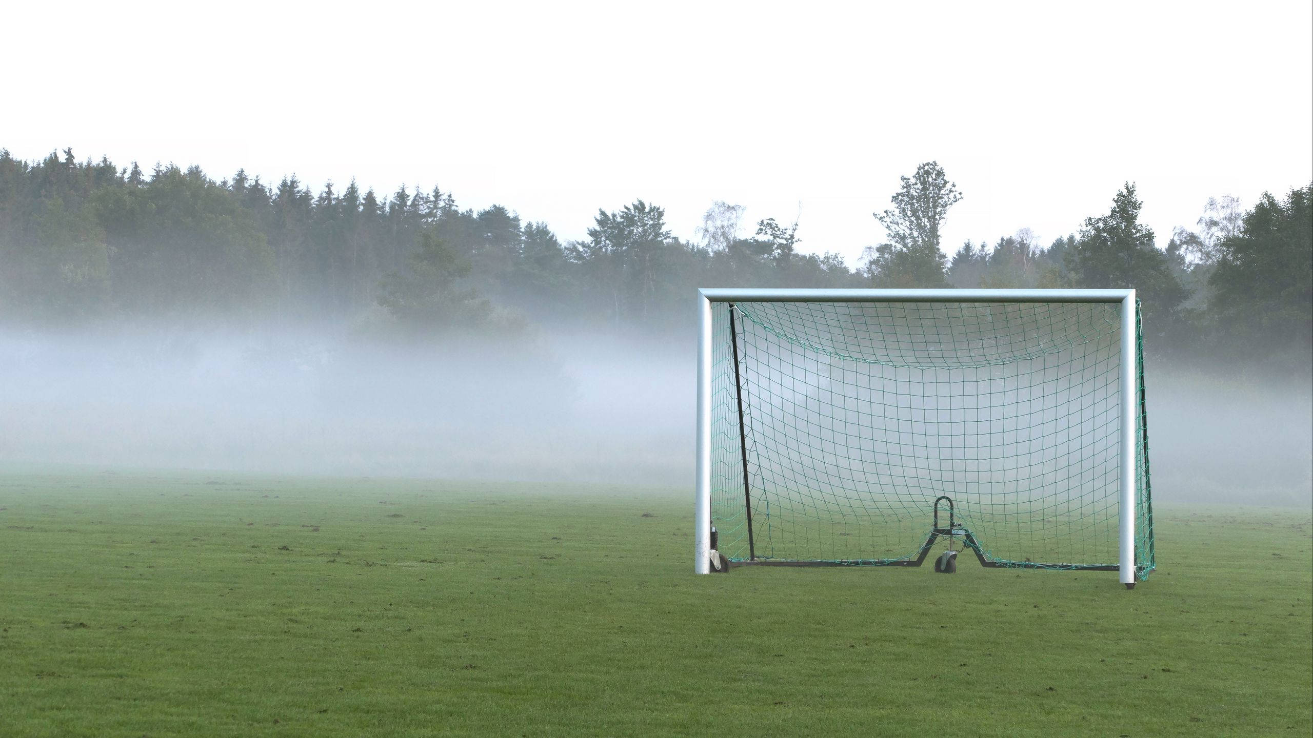 2560x1440, soccer field, foggy, 2K Desktop Wallpaper