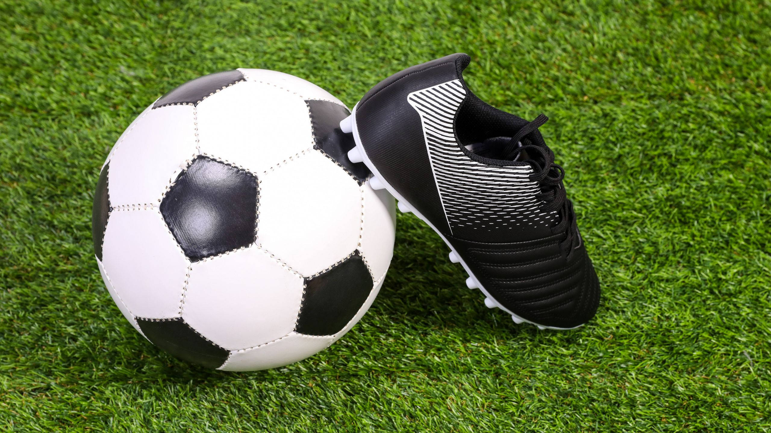2560x1440, soccer ball, black and white soccer ball, 2K Desktop Wallpaper